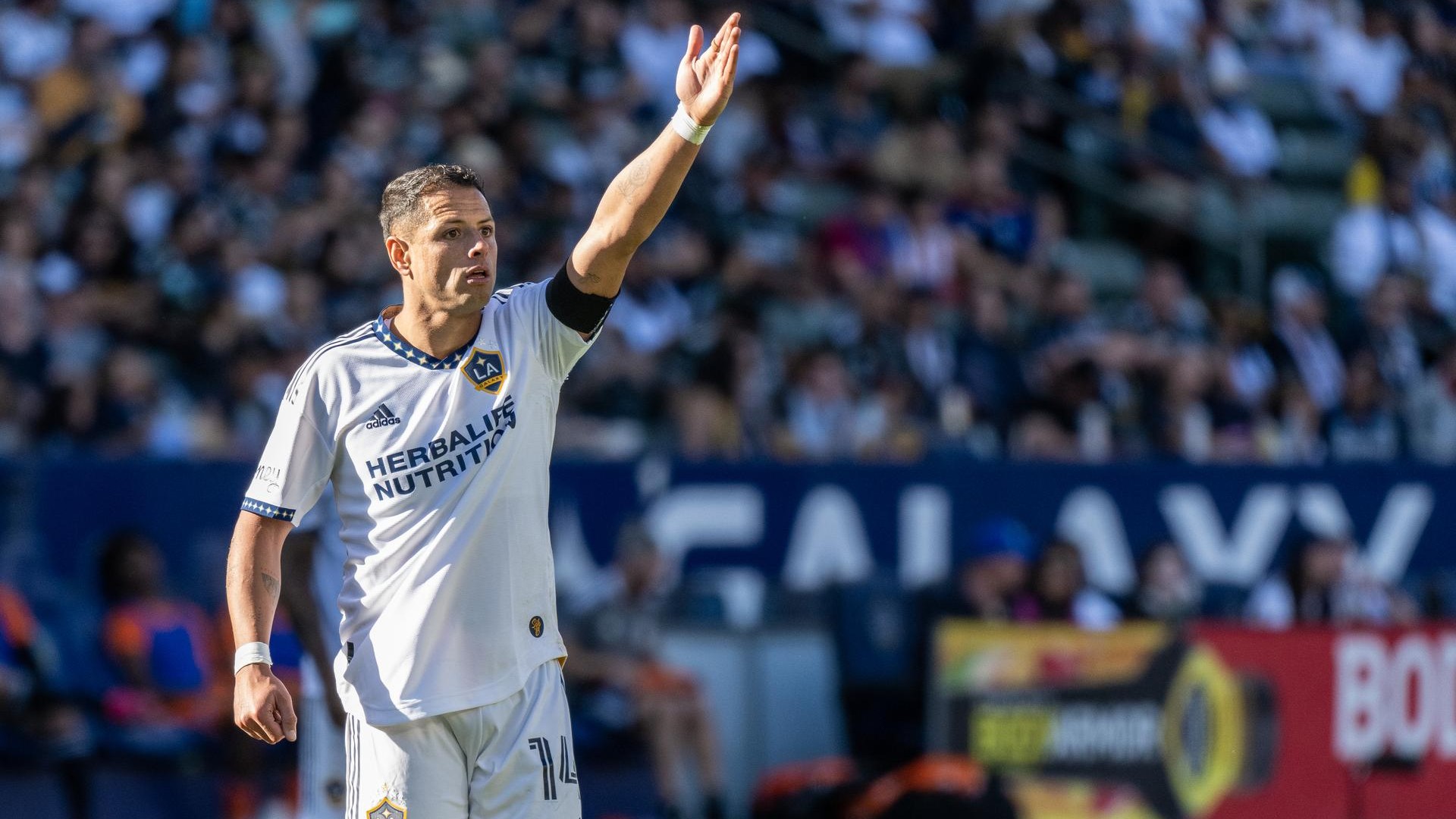Chicharito Hernandez attaccante dei LA Galaxy in MLS