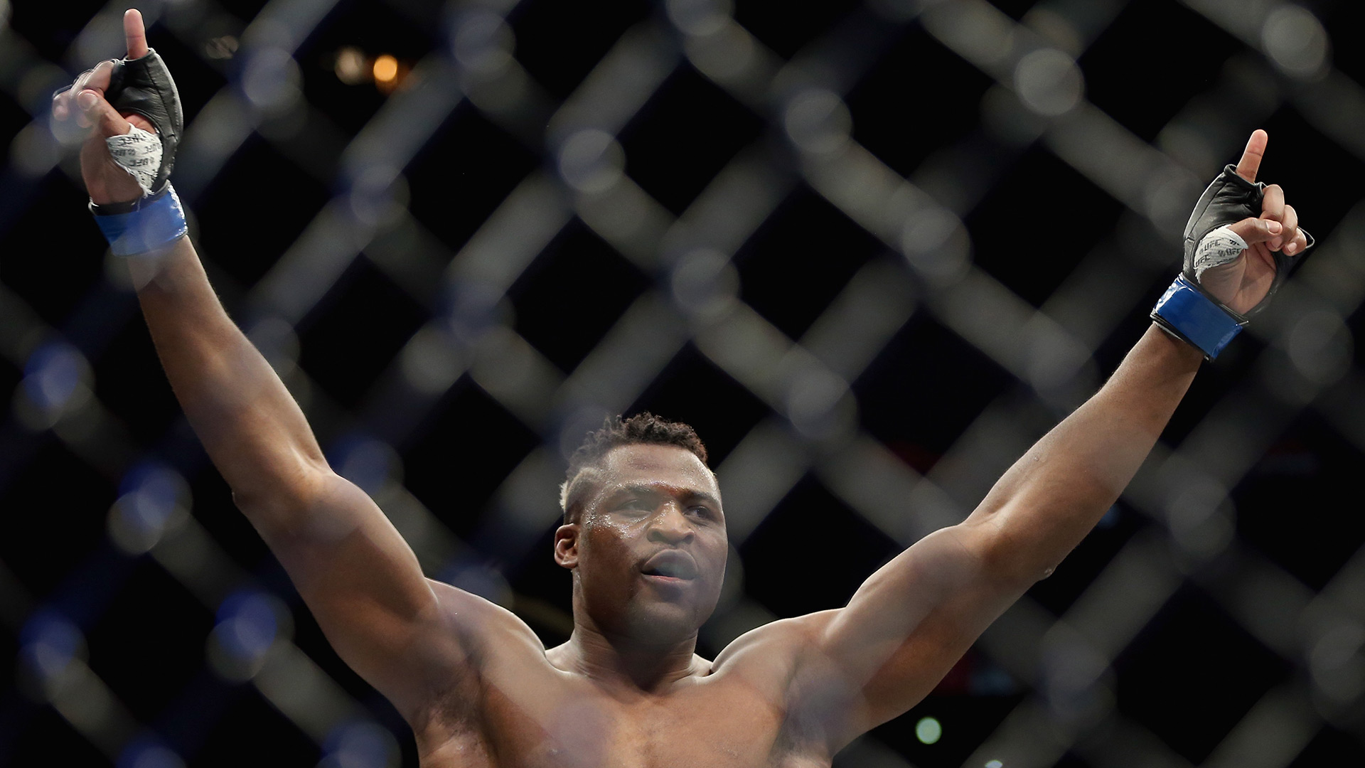 Francis Ngannou MMA