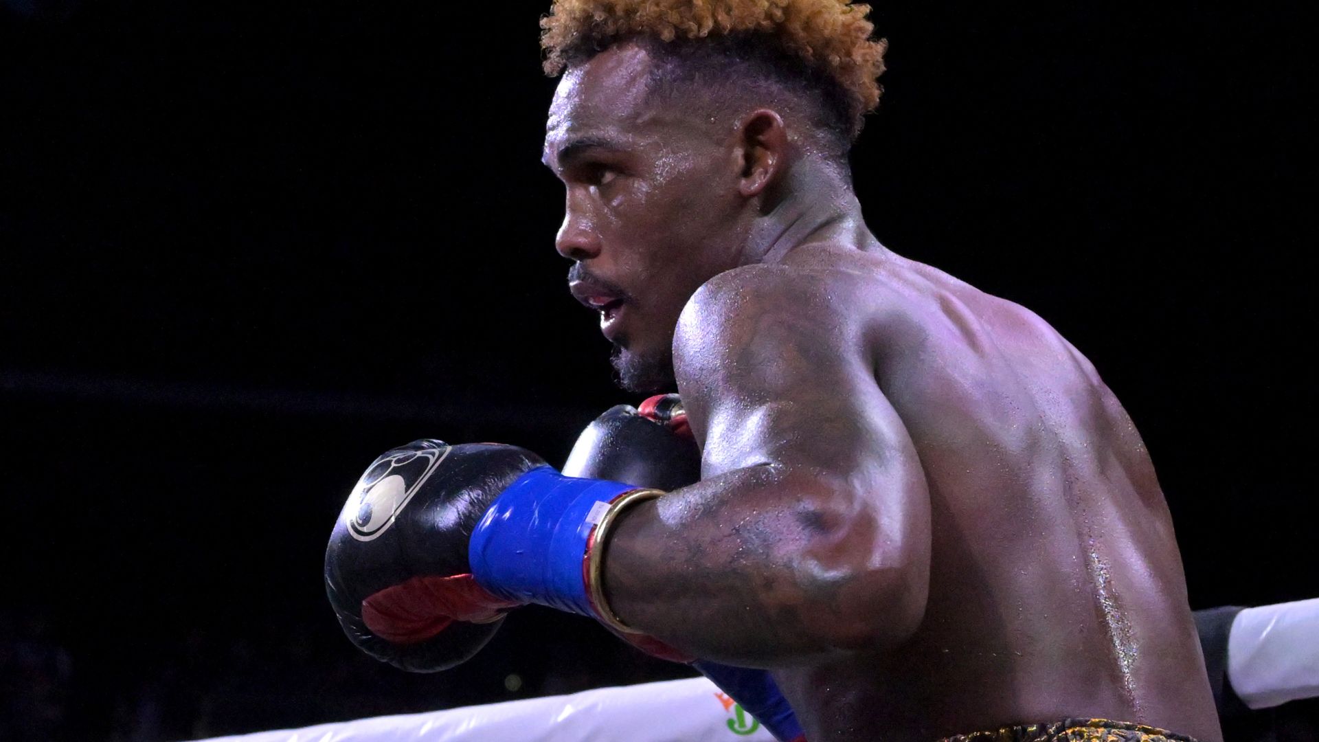 Canelo vs Charlo