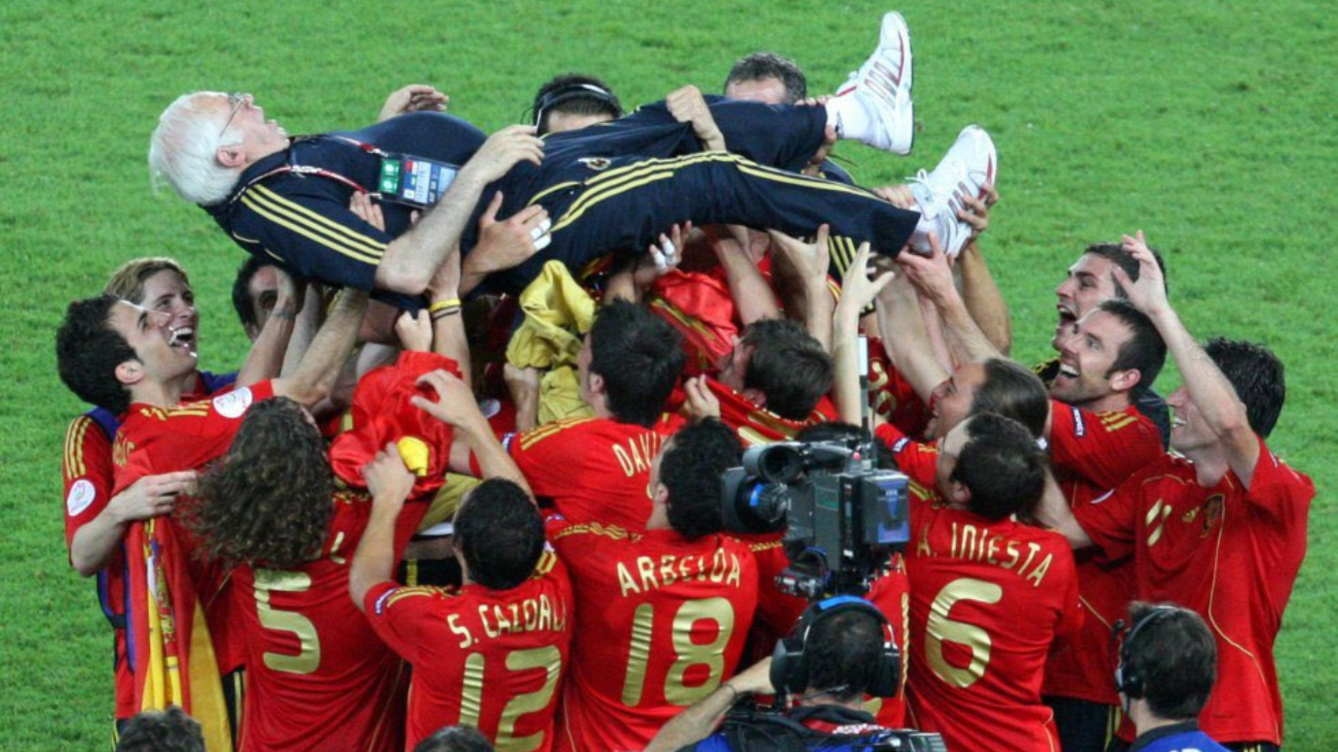 Eurocopa 2008, Selección Española, Luis Aragonés