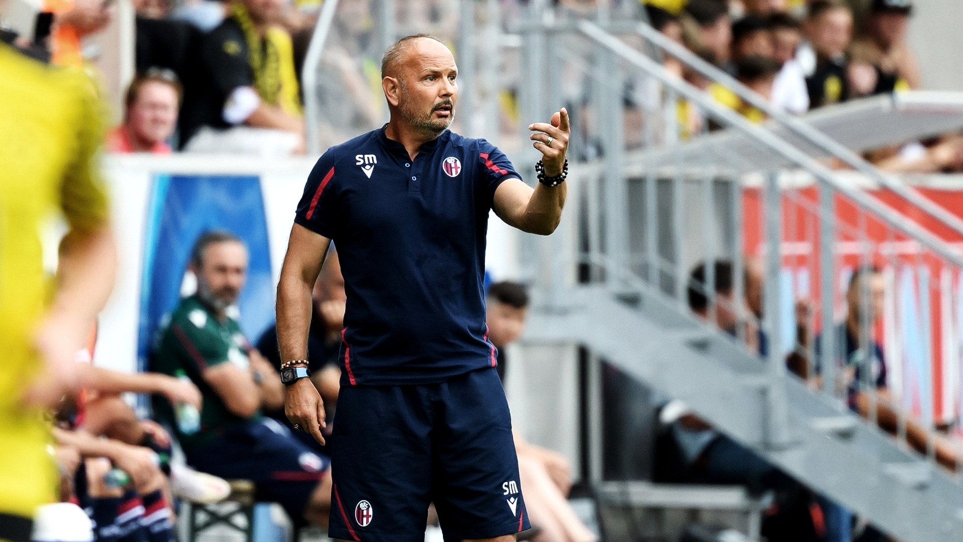 Sinisa Mihajlovic