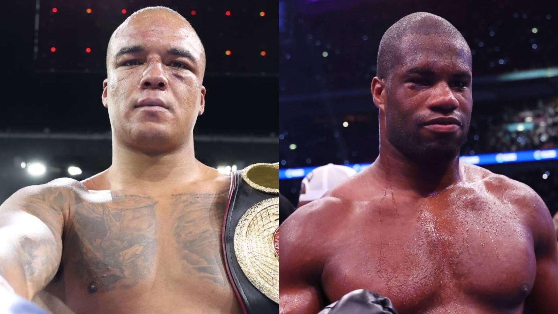 Fabio Wardley Daniel Dubois 2026