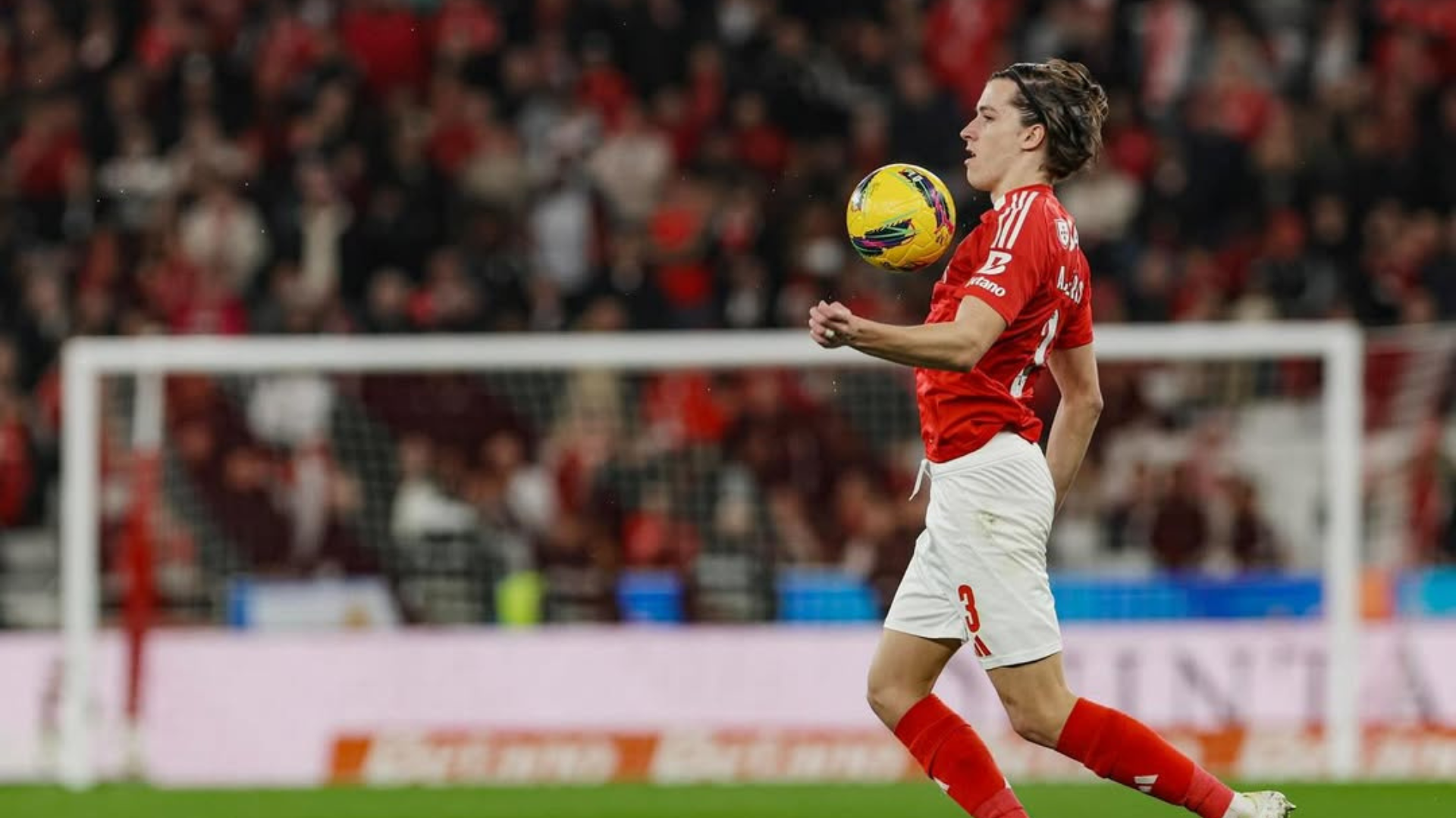 Álvaro Carreras, Benfica