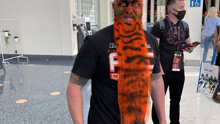 Tifoso dei Cincinnati Bengals, Super Bowl