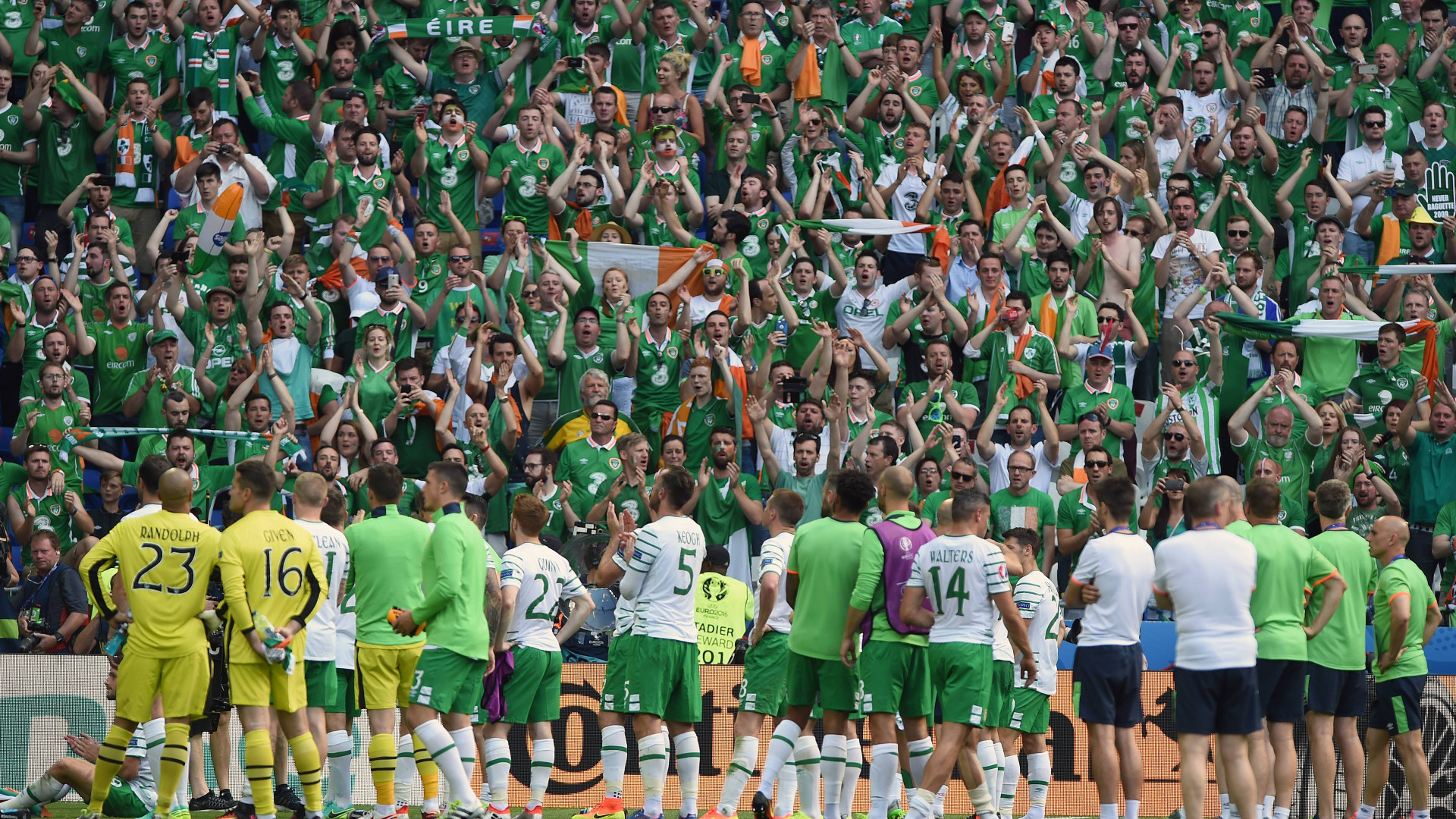 Nationalmannschaft Irland Fans EM 2016