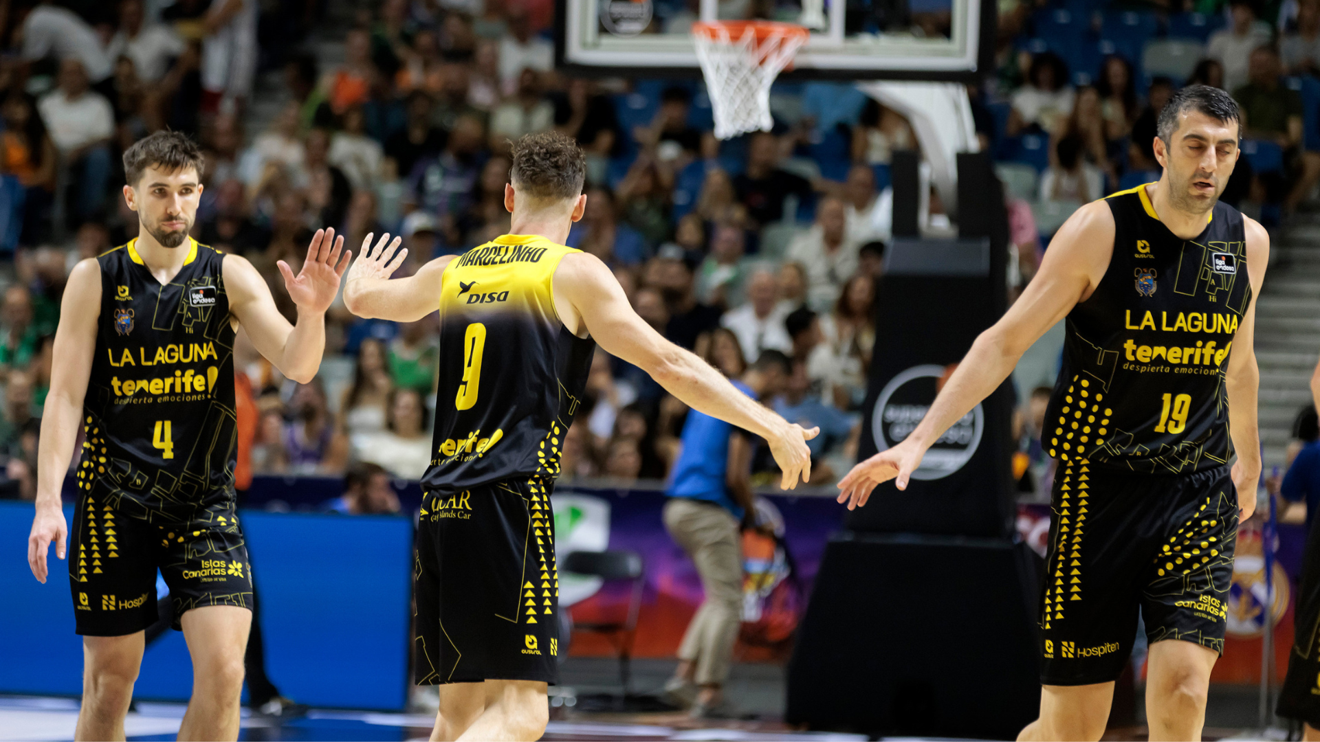 Wesley Van Beck, Giorgi Shermadini, Lenovo Tenerife