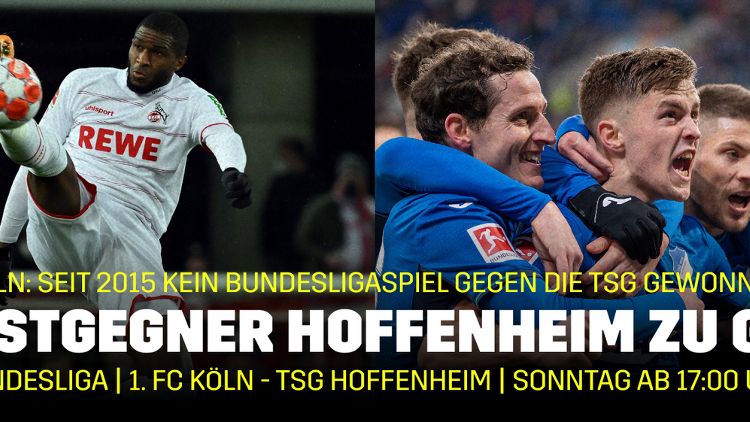 1. FC Köln - Hoffenheim Bundesliga 25. Spieltag Banner
