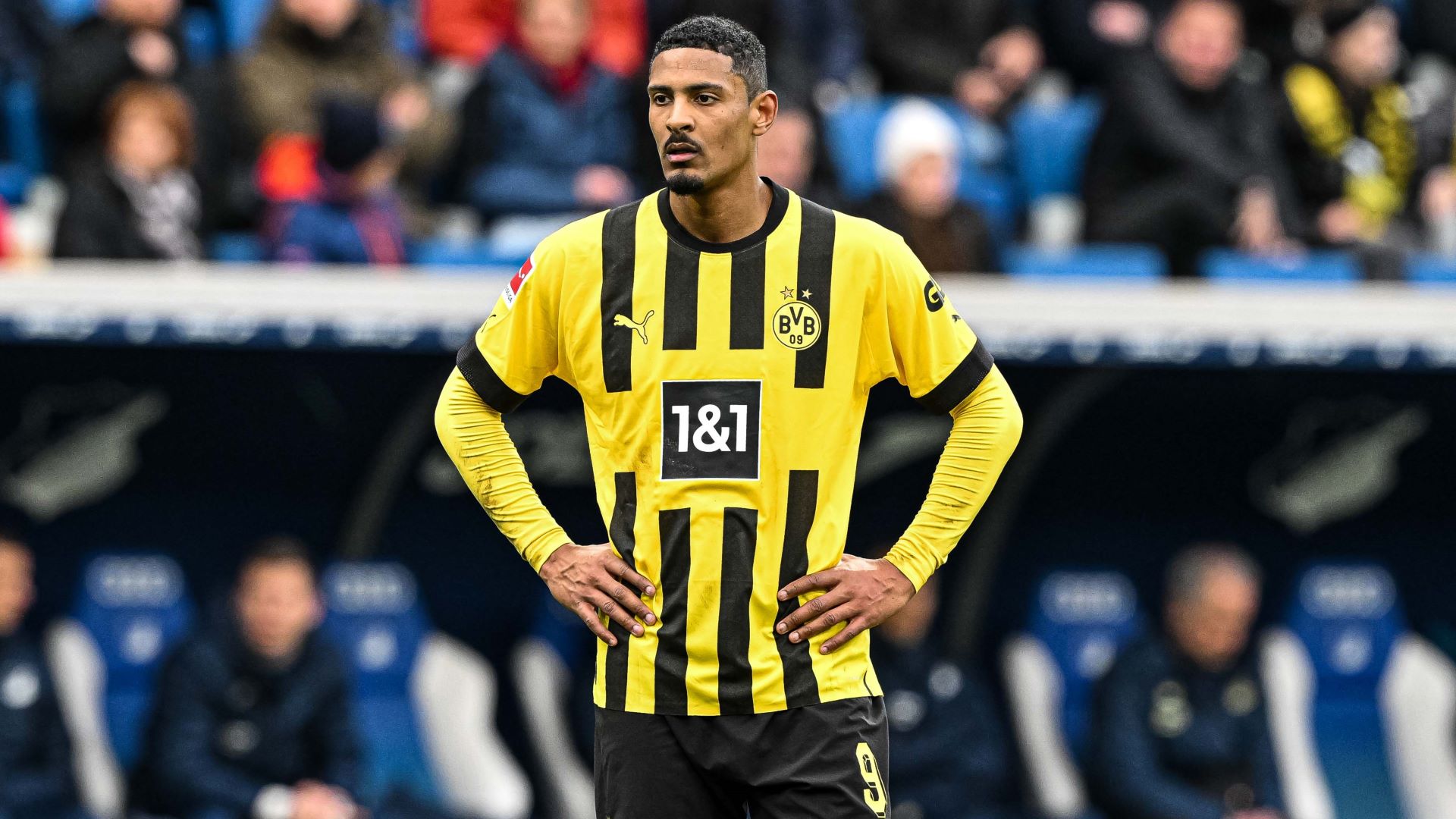 Borussia Dortmund BVB Haller Bundesliga 25022023