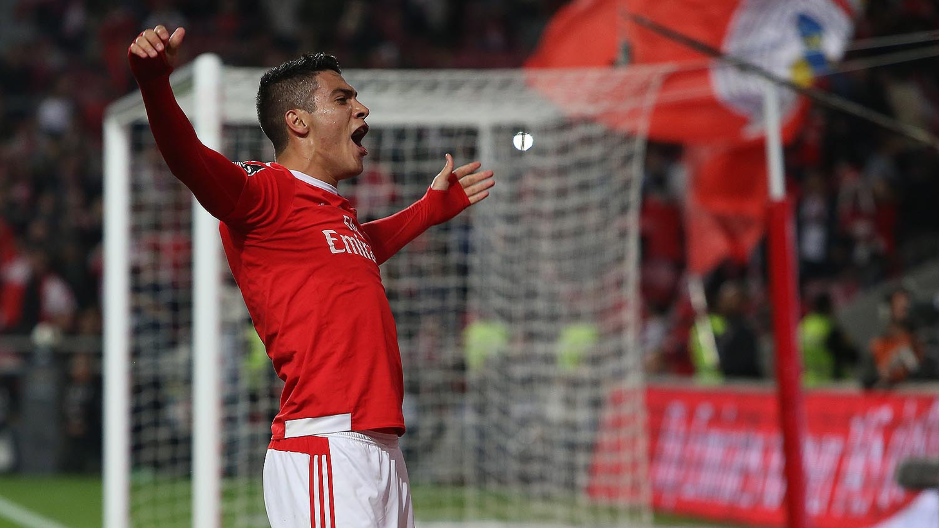 Raúl Jiménez, Raul Jimenez, Benfica