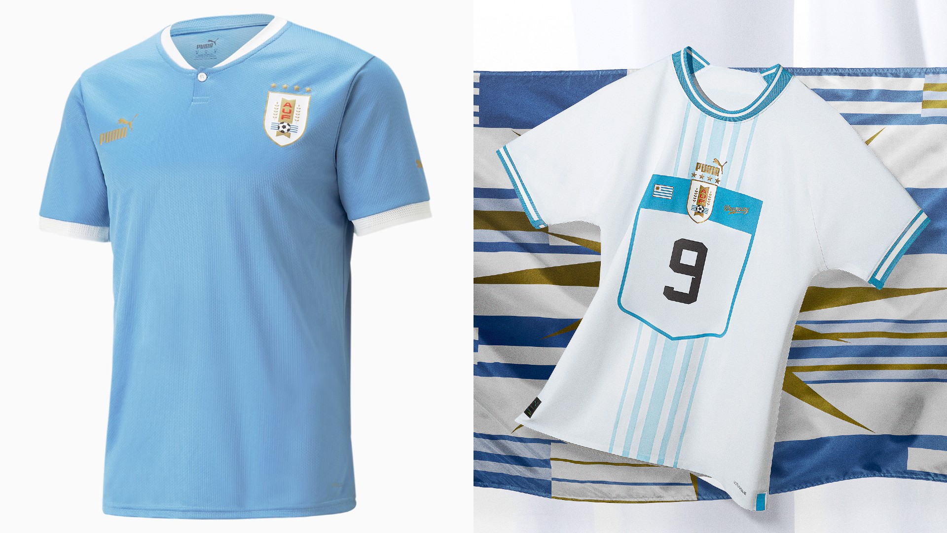 uruguay-puma
