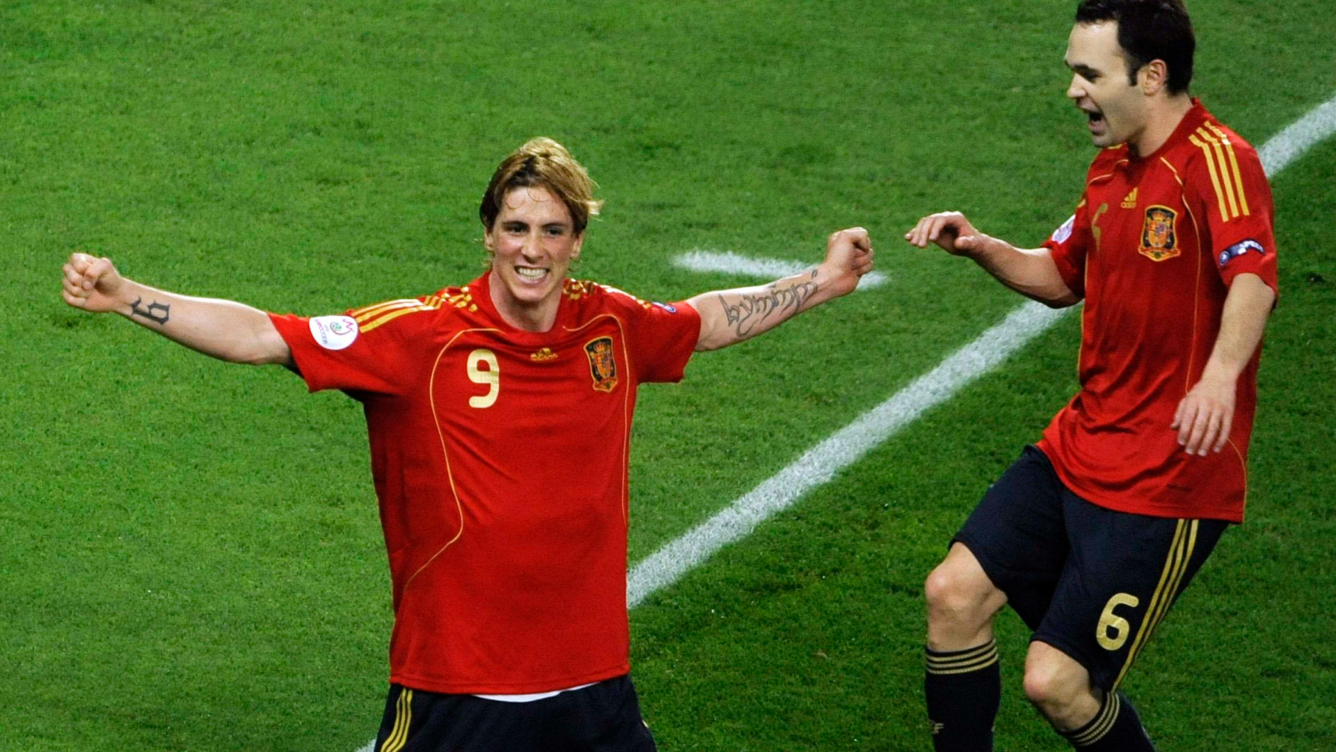 Fernando Torres, Selección Española, Eurocopa 2008