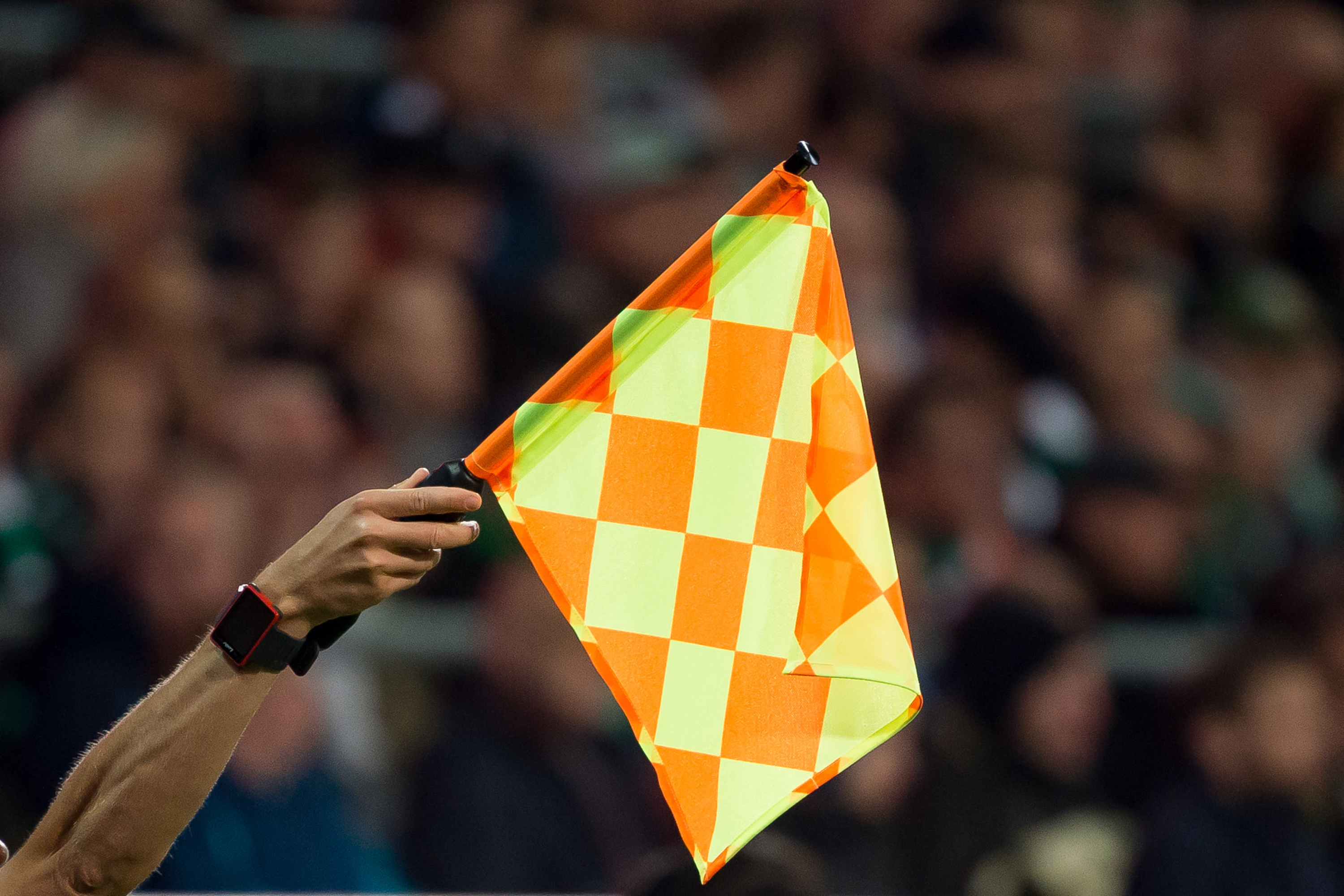 Bandierina, guardalinee