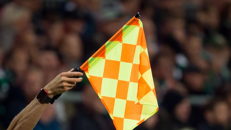 Bandierina, guardalinee