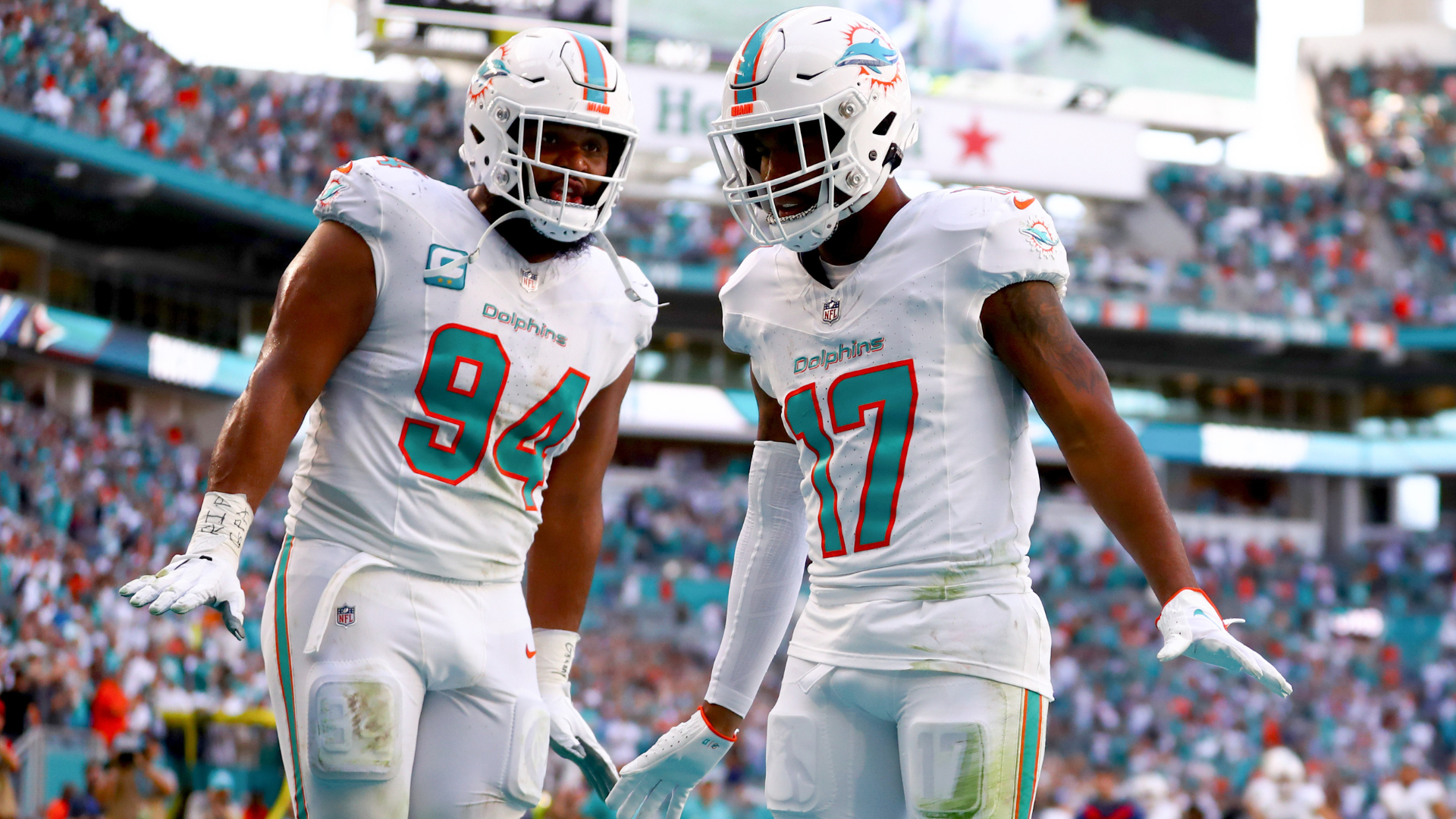 Miami Dolphins