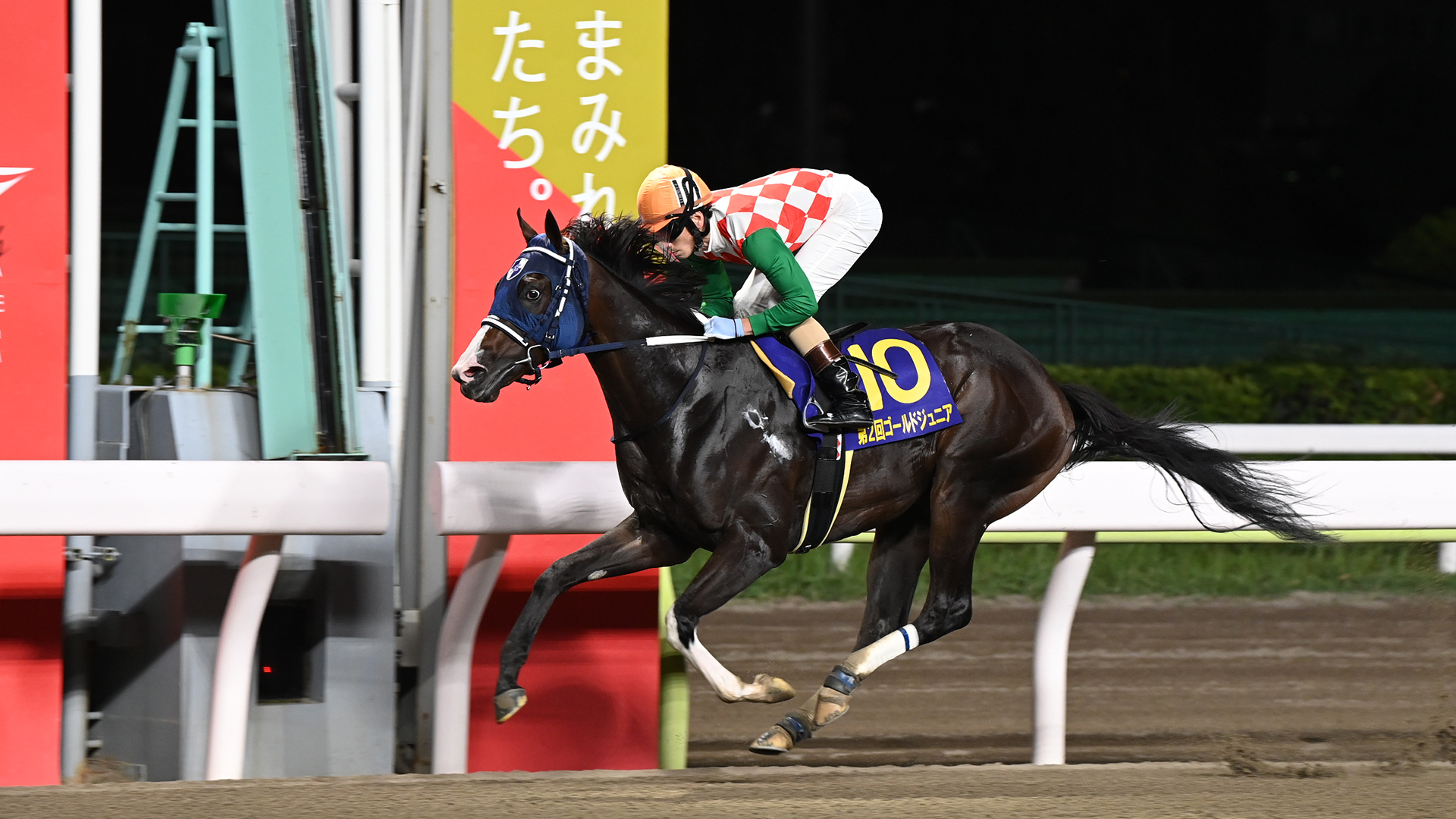 競馬 勝負服 ハイセイコー 10月限定価格」競馬 勝負服 ハイセイコー ハイセイコー/第33回皐月賞 [