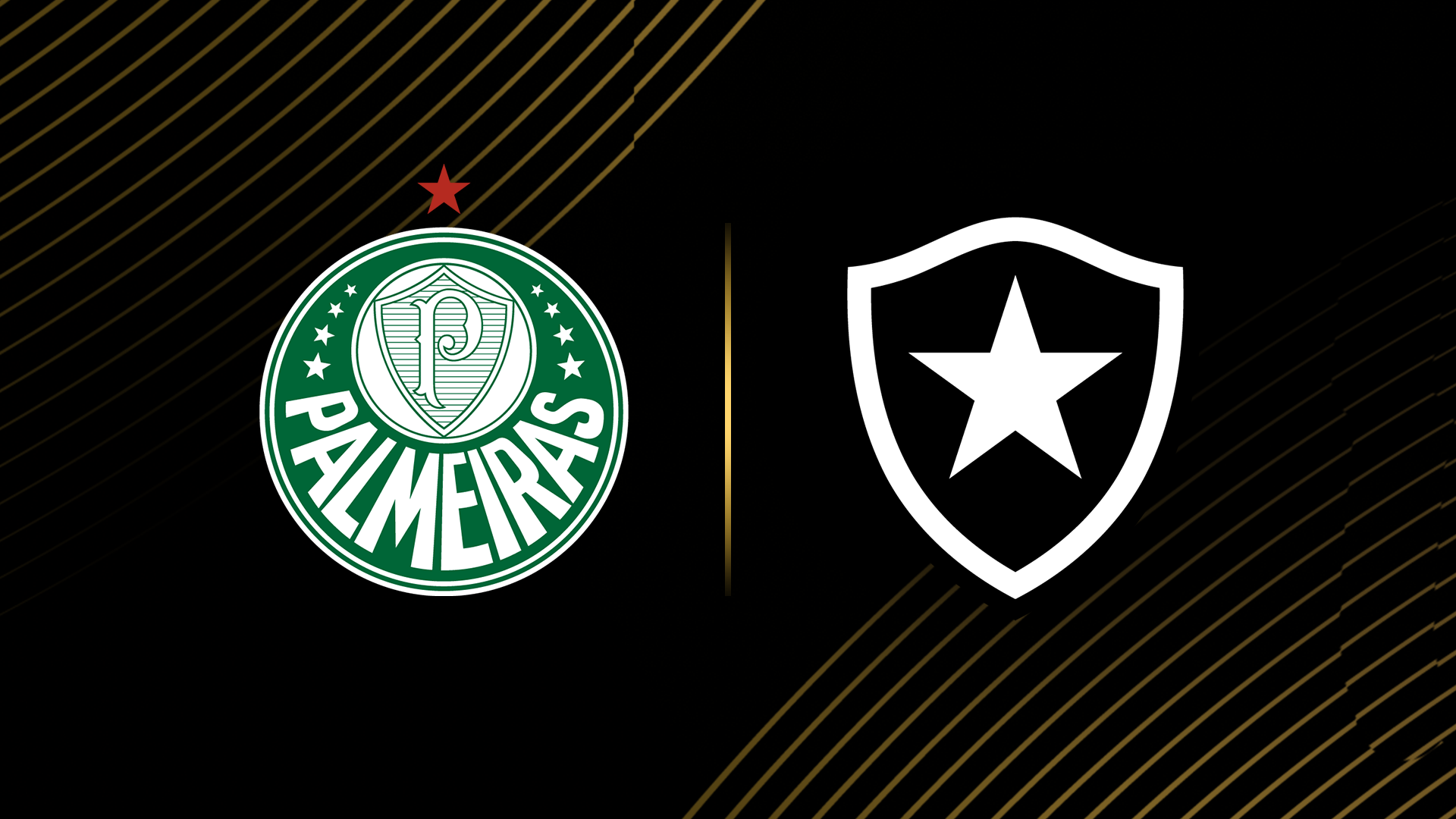 Como ver o Palmeiras x Botafogo? Como ver o Mundial de Clubes grátis em  Portugal? | DAZN Notícias PT