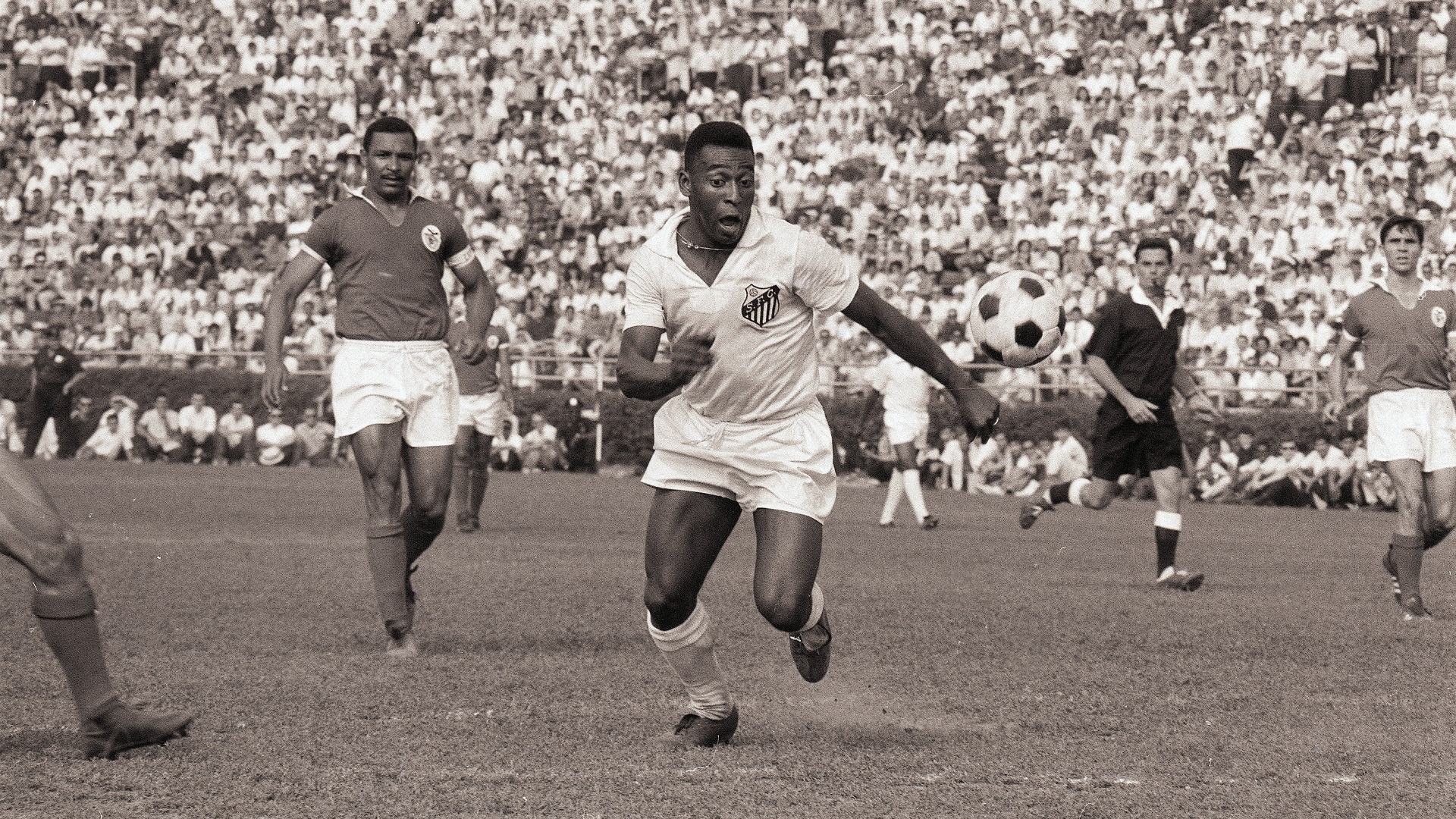 Pele Santos