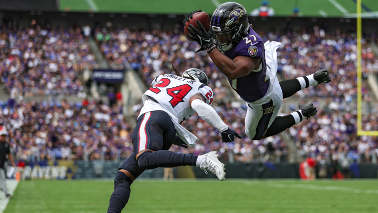 Baltimore Ravens NFL