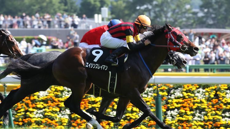 エイシンスレイマン