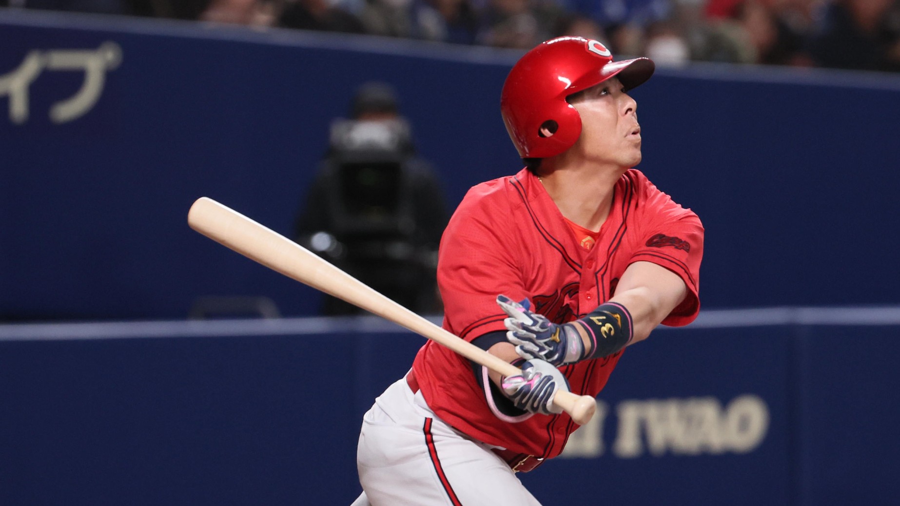 2025-04-10-npb-carp-noma