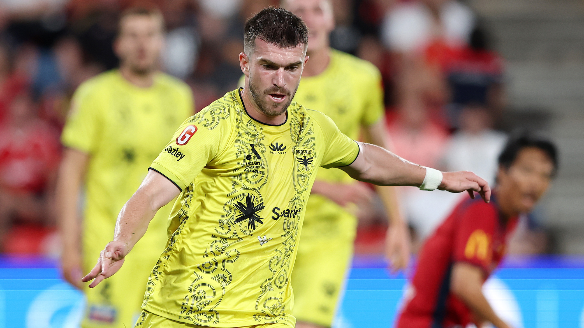 Tim Payne, Wellington Phoenix