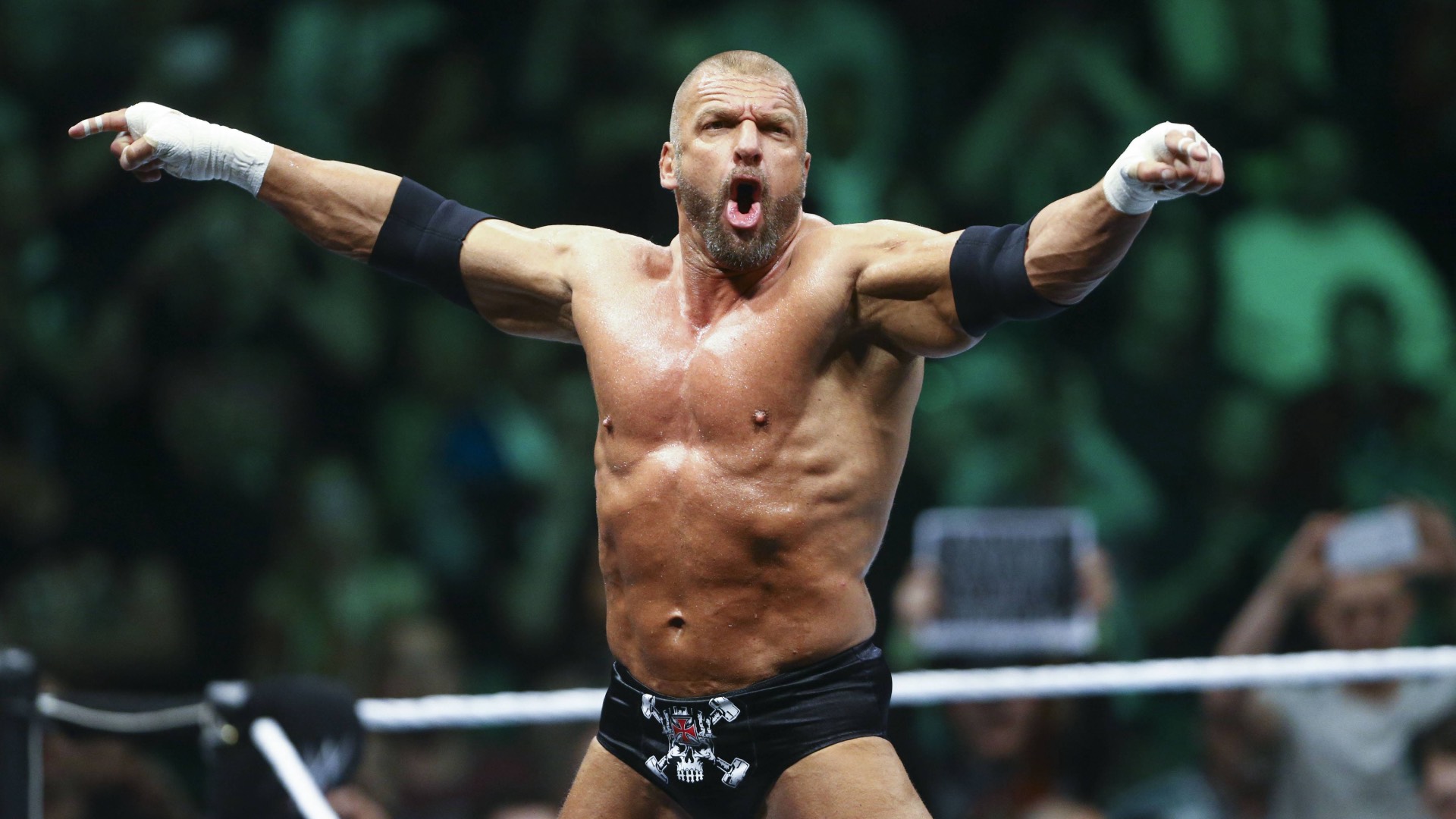 WWE Paris Triple-H 2016
