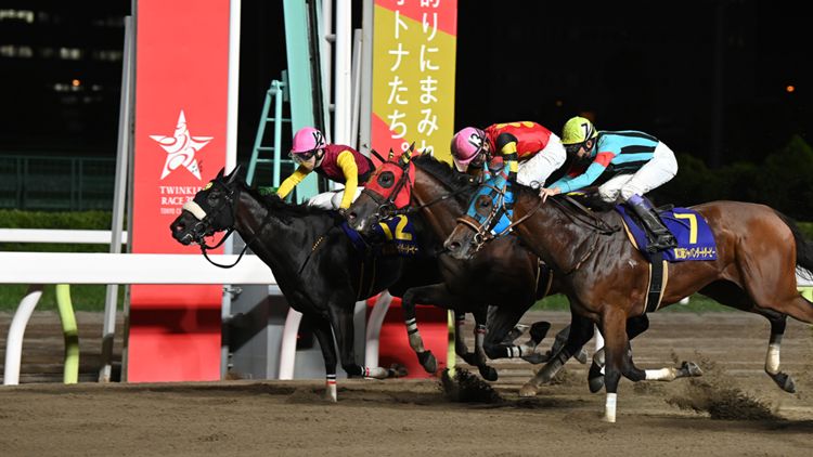 キャッスルトップ