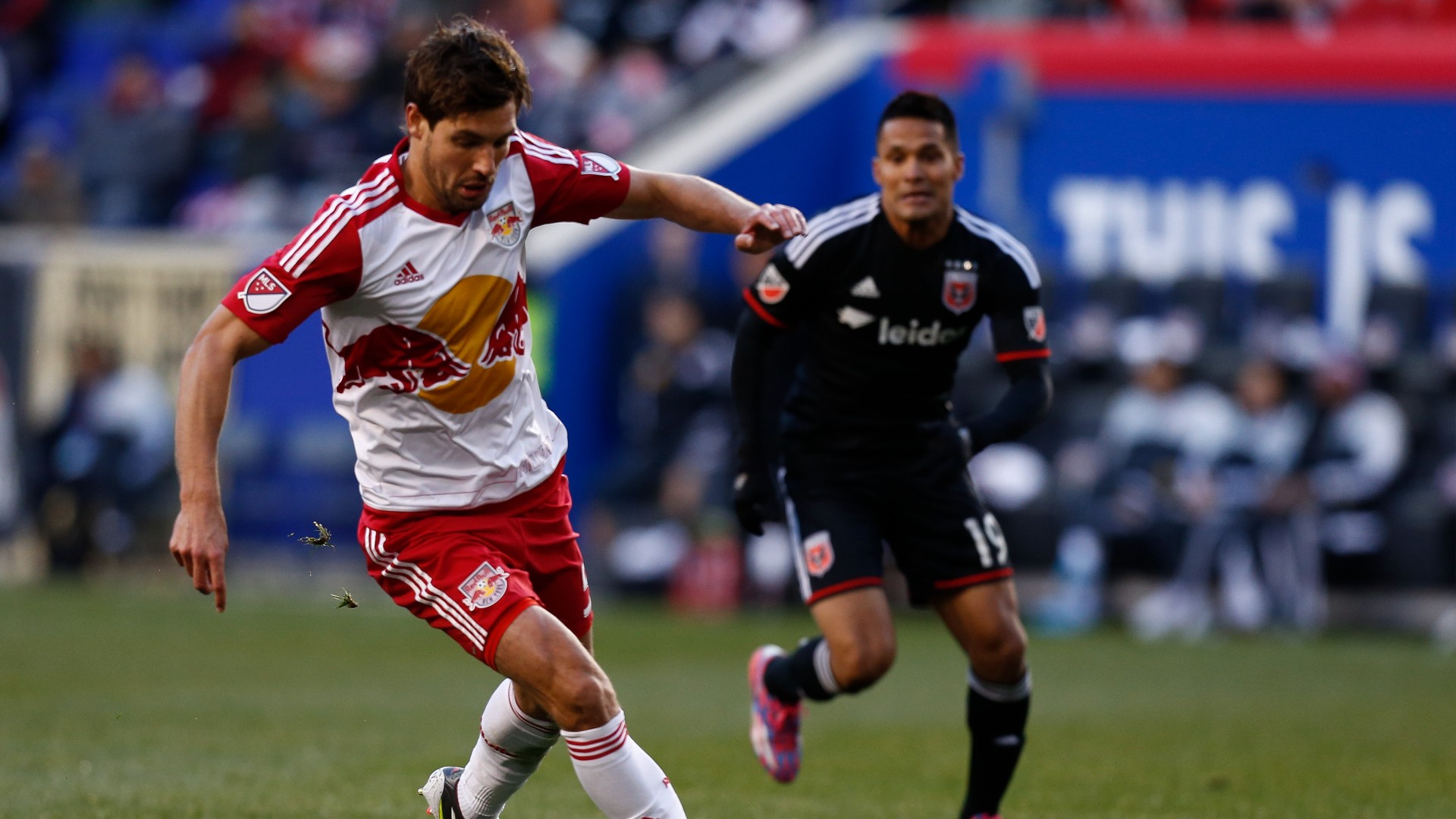 Atlantic Cup tra DC United e NY Red Bulls in MLS