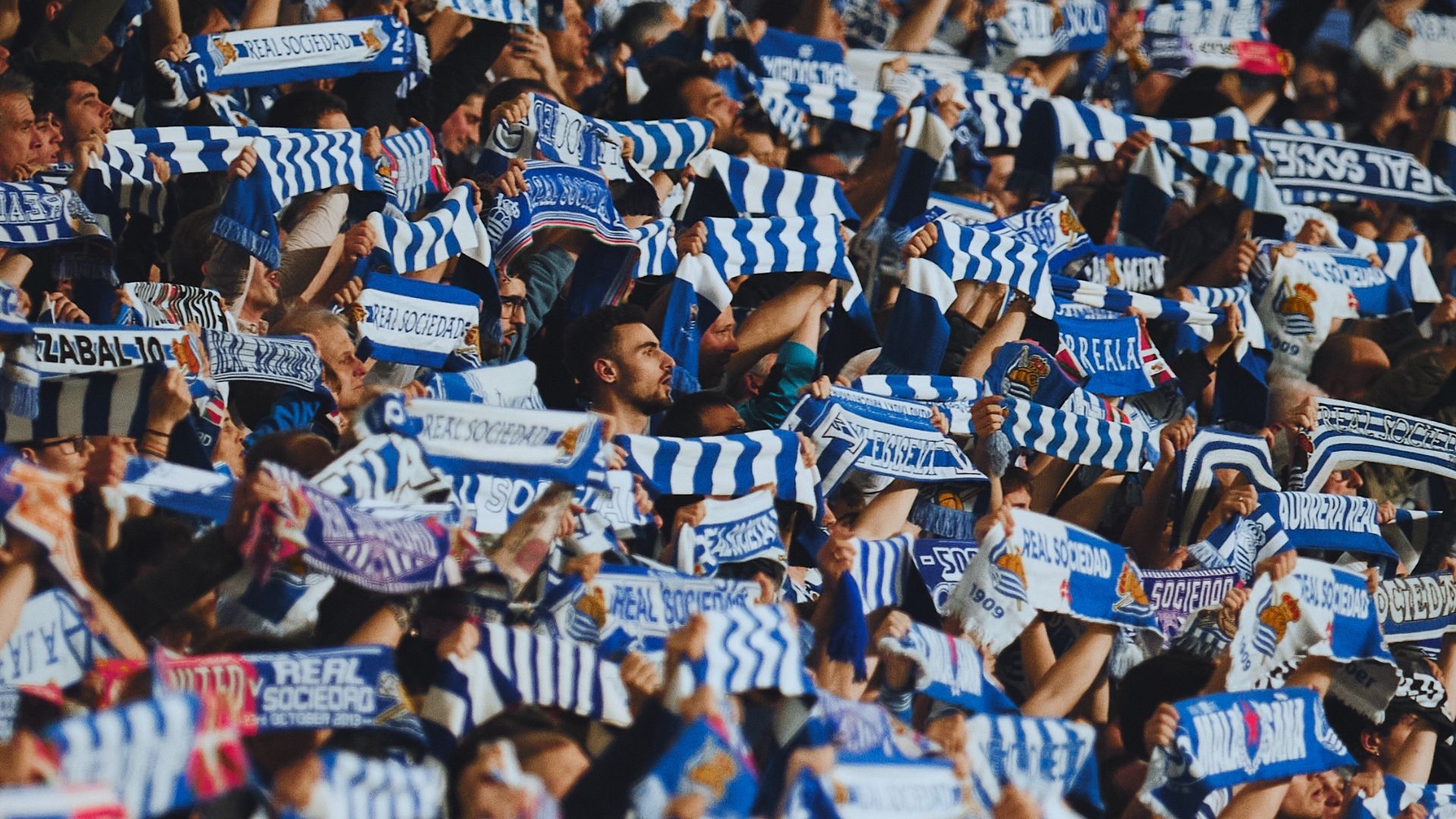 Real Sociedad, afición, Anoeta