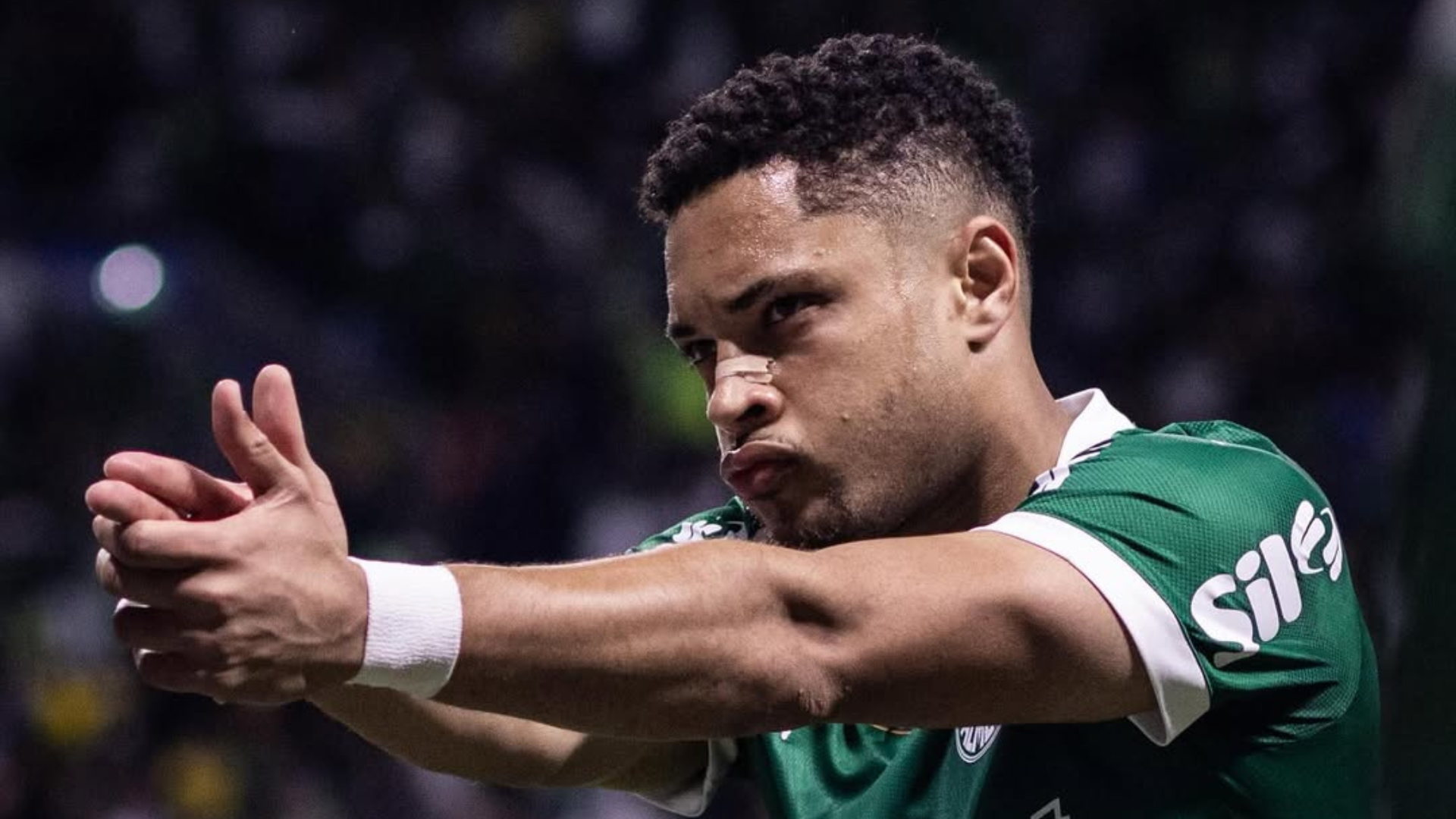 Vitor Roque, Palmeiras