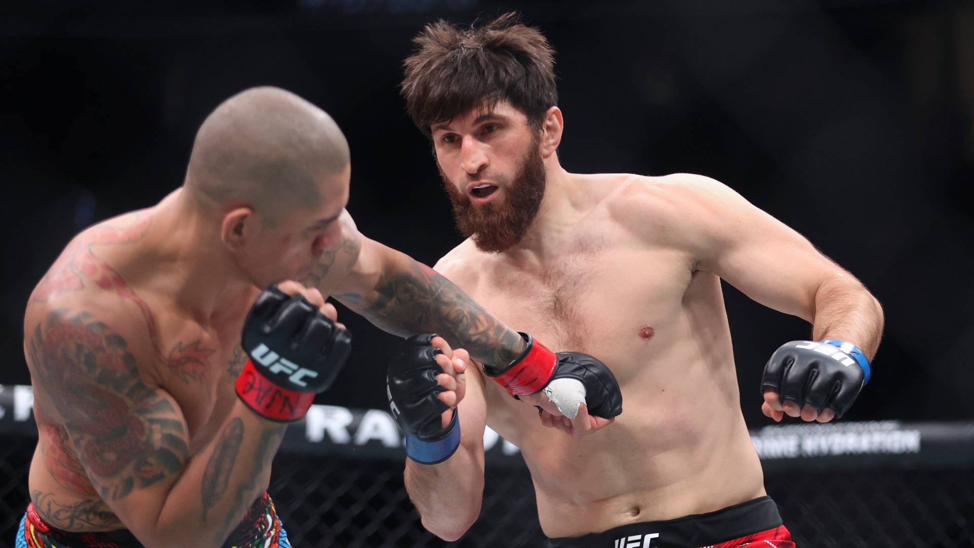 Pereira-Ankalaev_UFC313