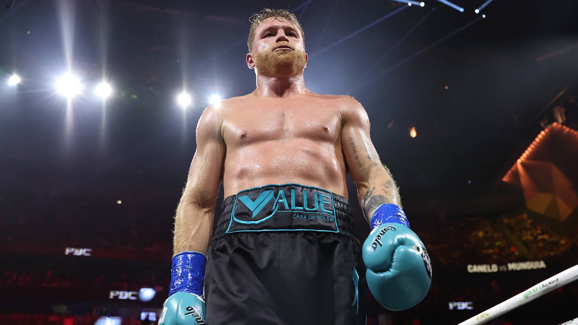 Canelo Alvarez Boxen 2024