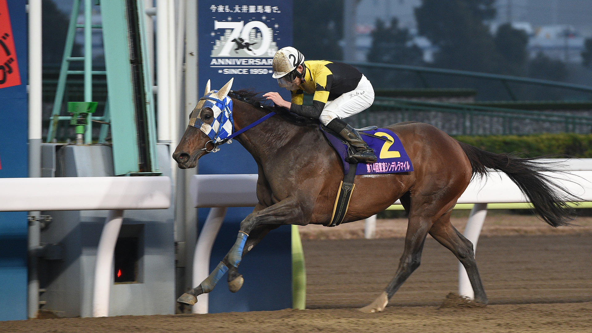 ダノンレジーナ