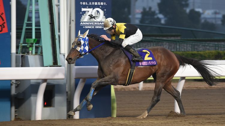 ダノンレジーナ