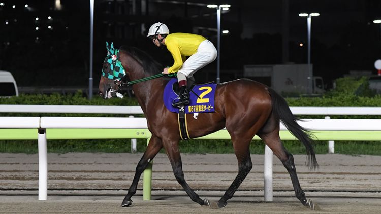 サヨノグローリー