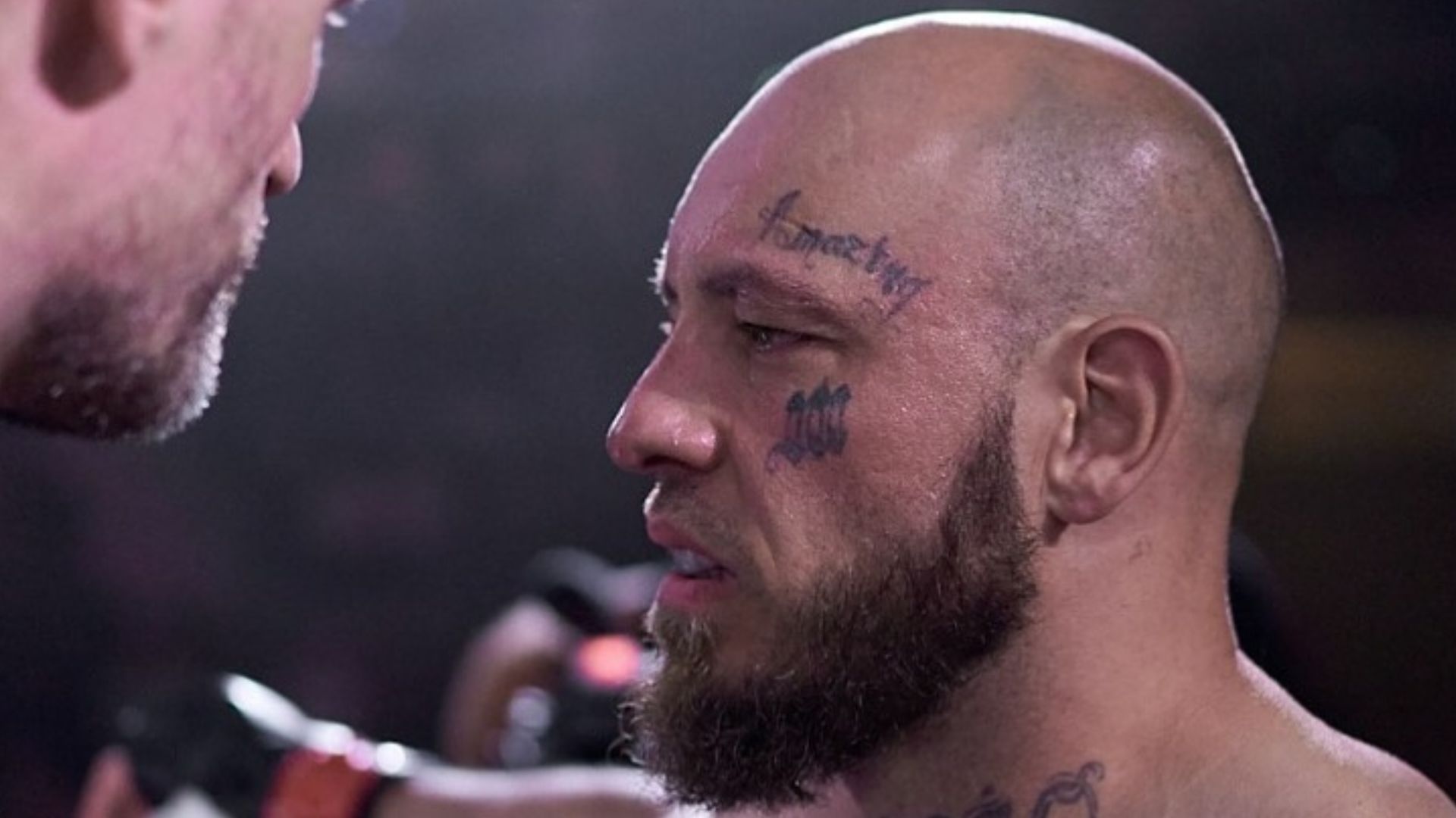 Vaso Bakocevic vs Wilhelm Ott en BKFC Budva: cartelera, cuándo es ...