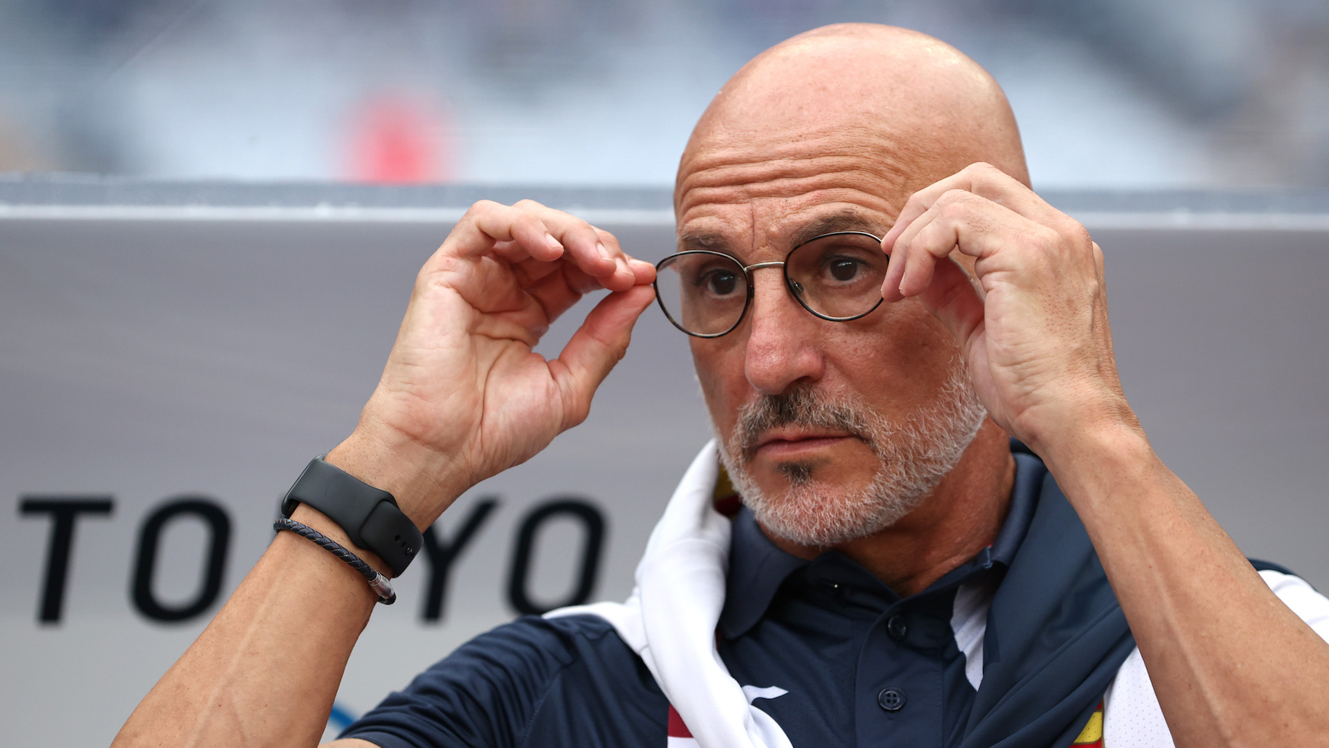 Luis de la Fuente, España