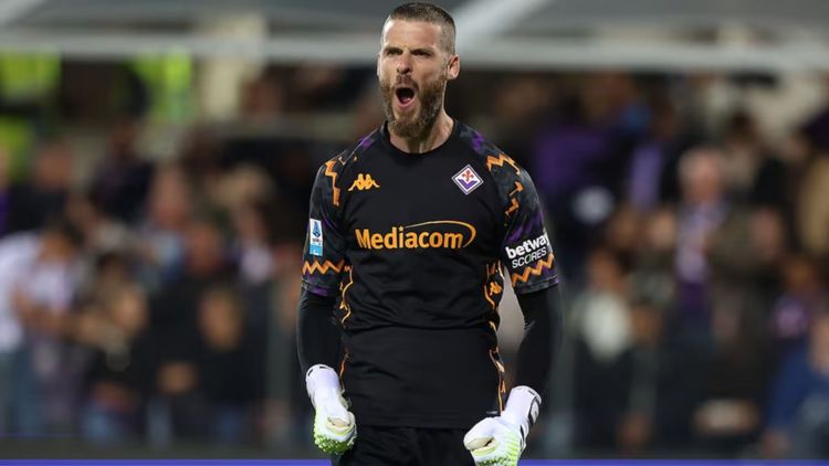 David De Gea, Fiorentina