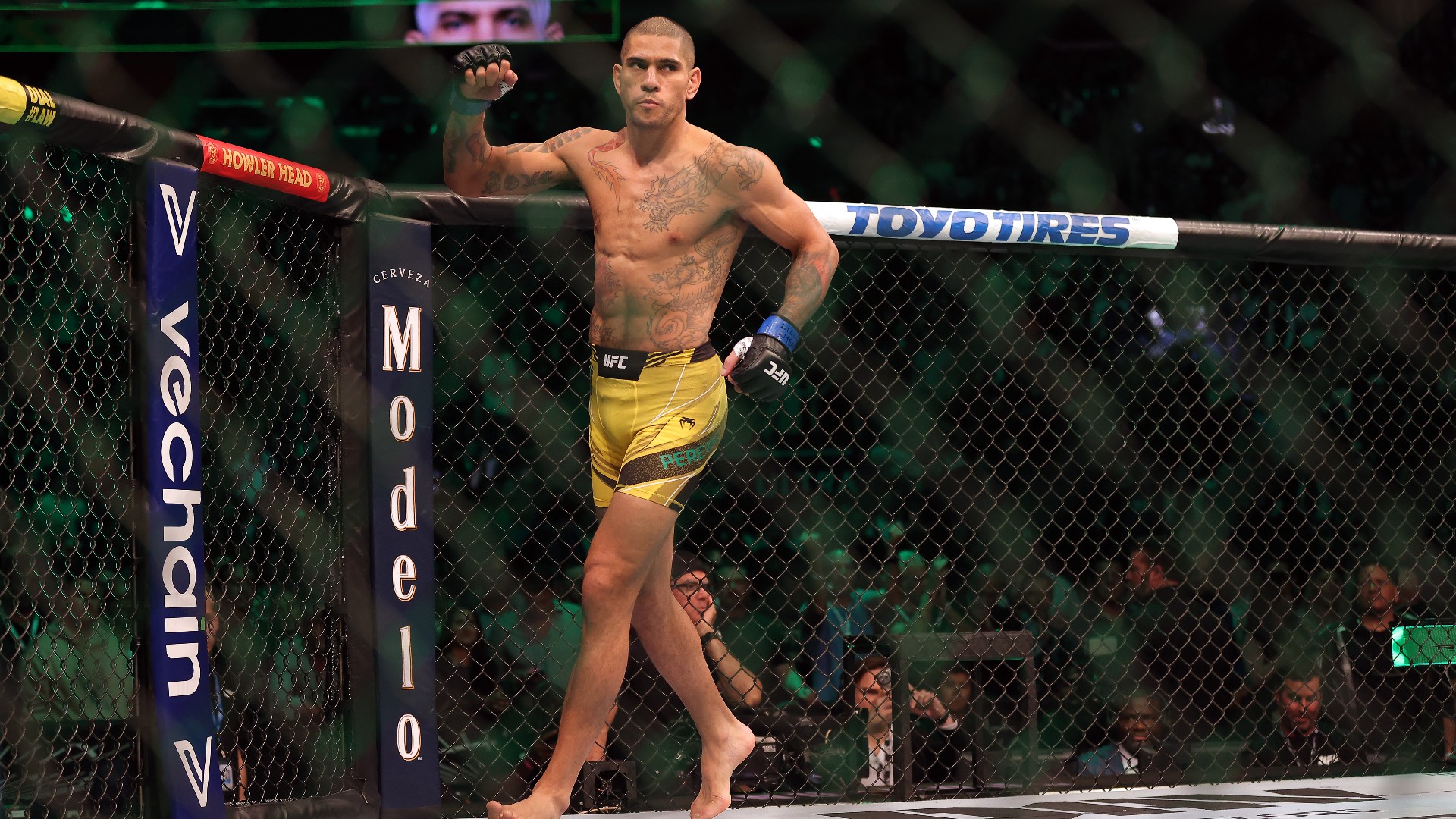 Alex Pereira Madison Square Garden 121122