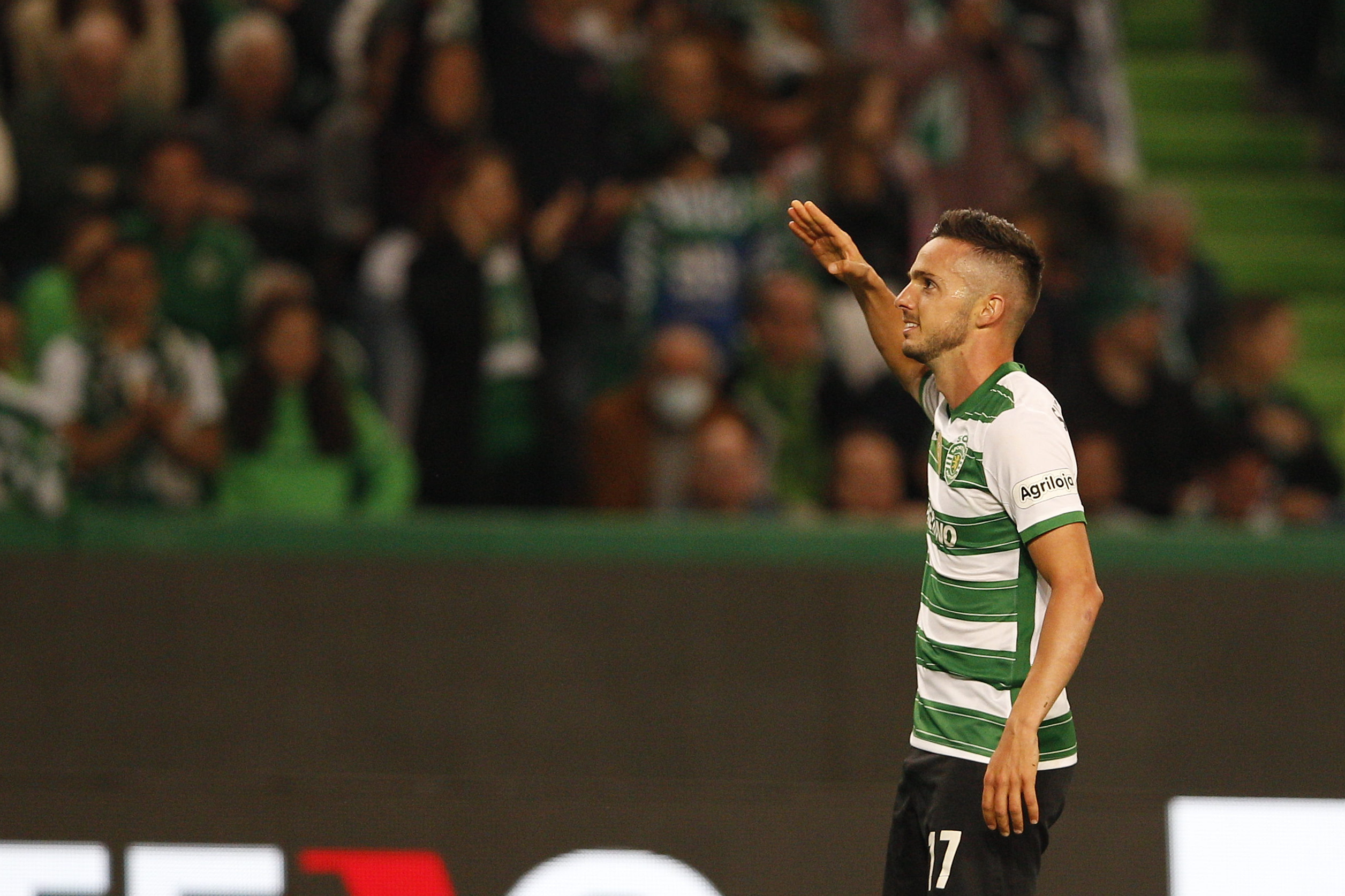 sarabia