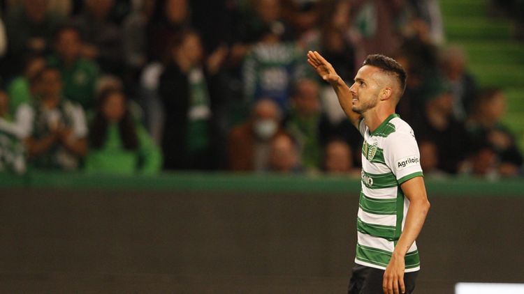 sarabia