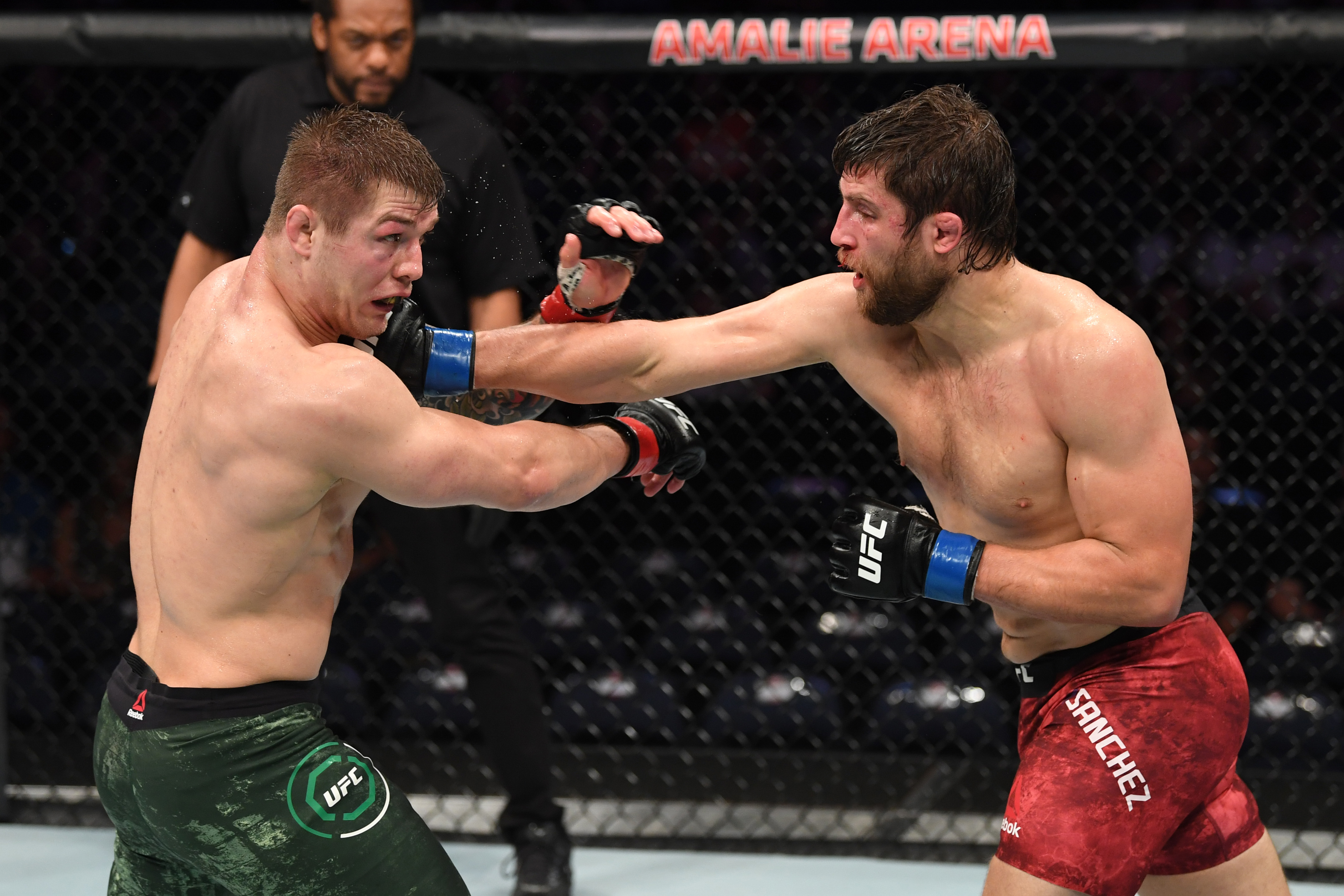 Vettori-Sanchez, UFC