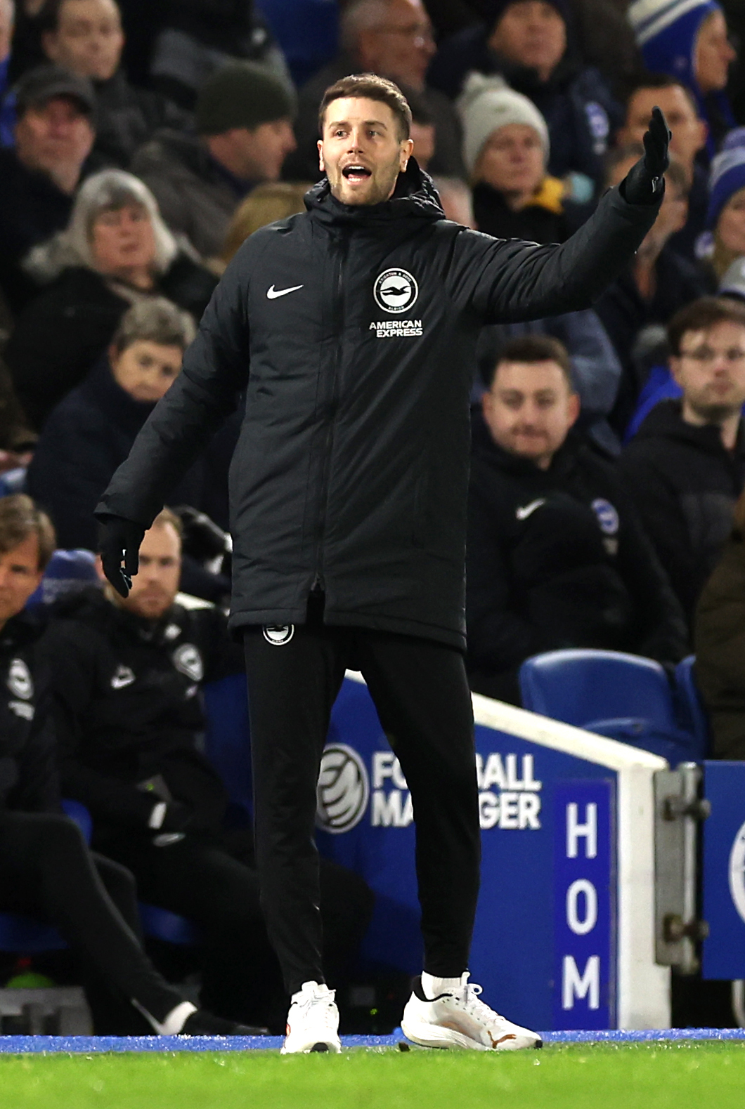 Brighton and Hove Albion v AFC Bournemouth – Premier League – American Express Stadium