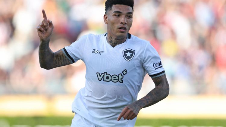 transform-8502a794-64ff-43d1-b4d6-c75ff49a1737-Igor-Jesus-celebrates-after-scoring-for-Botafogo-against-PSG-on-June-19-2025