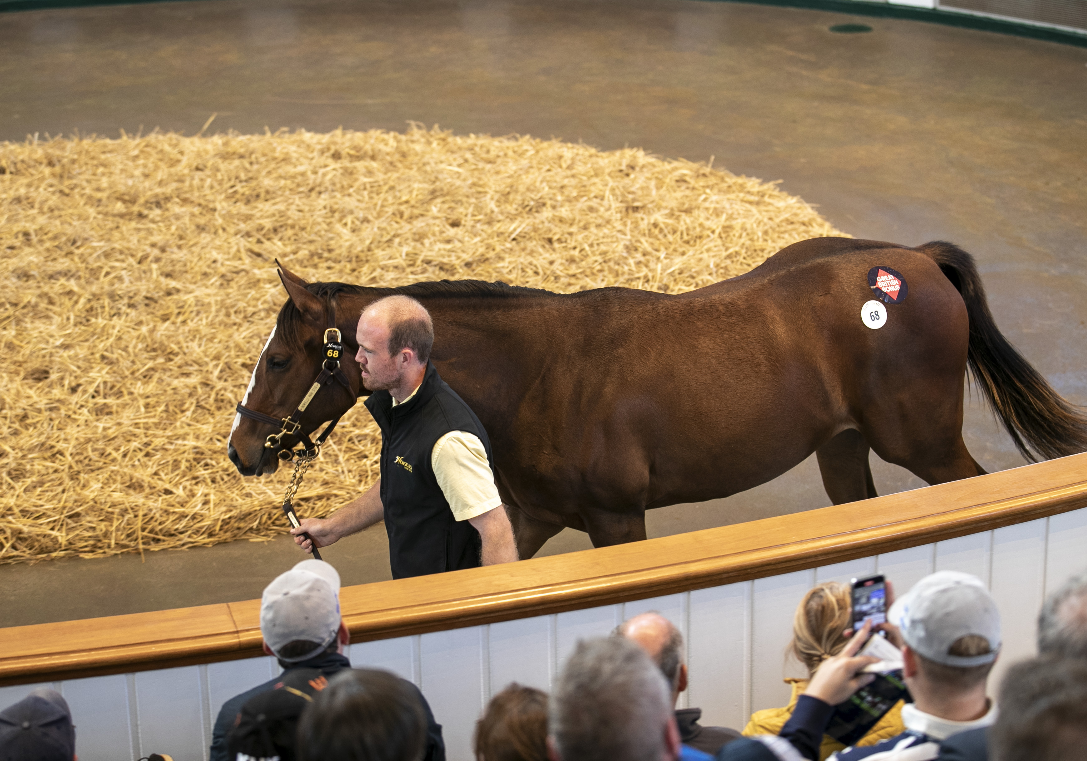 2024-10-08174226-9df5bf40-4ec2-4b25-88ae-dd817e2964ee