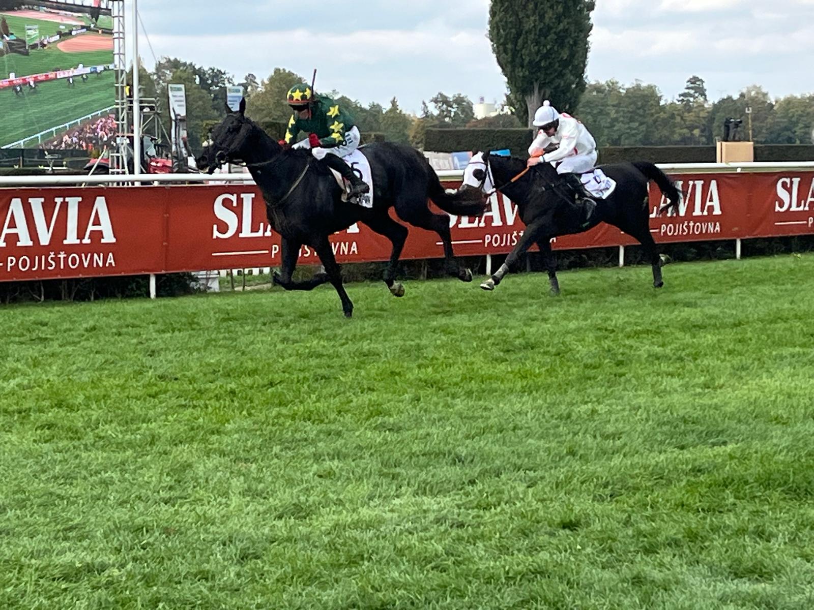 2025-10-12151423-04458864-483e-49a4-ac85-512b94a5dbeb