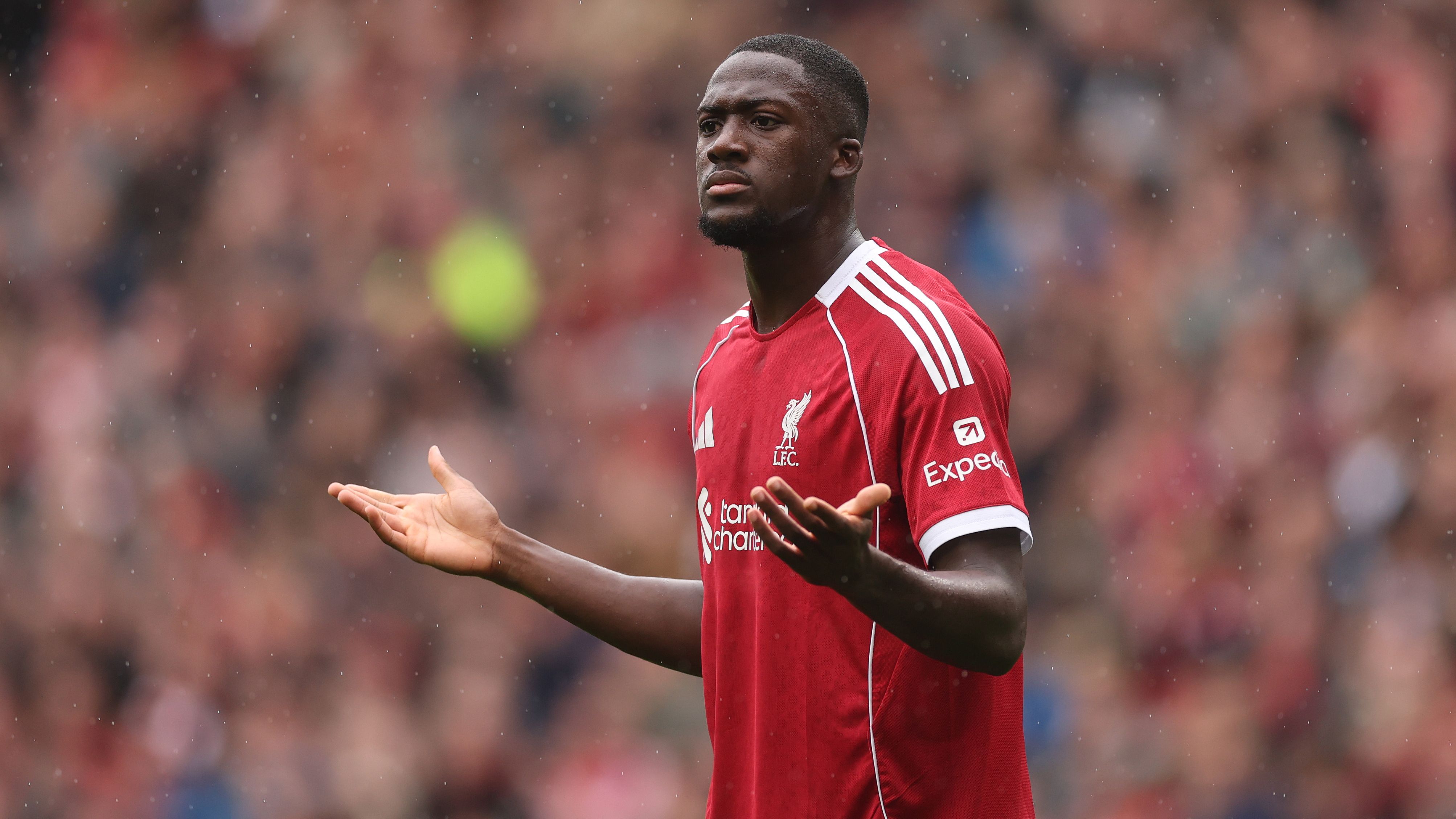 images-v3-getty-2236402963-crop-MM5DIMBRGM5DEMRVG45G433XMU5DAORSGA4Q====-GettyImages-2236402963