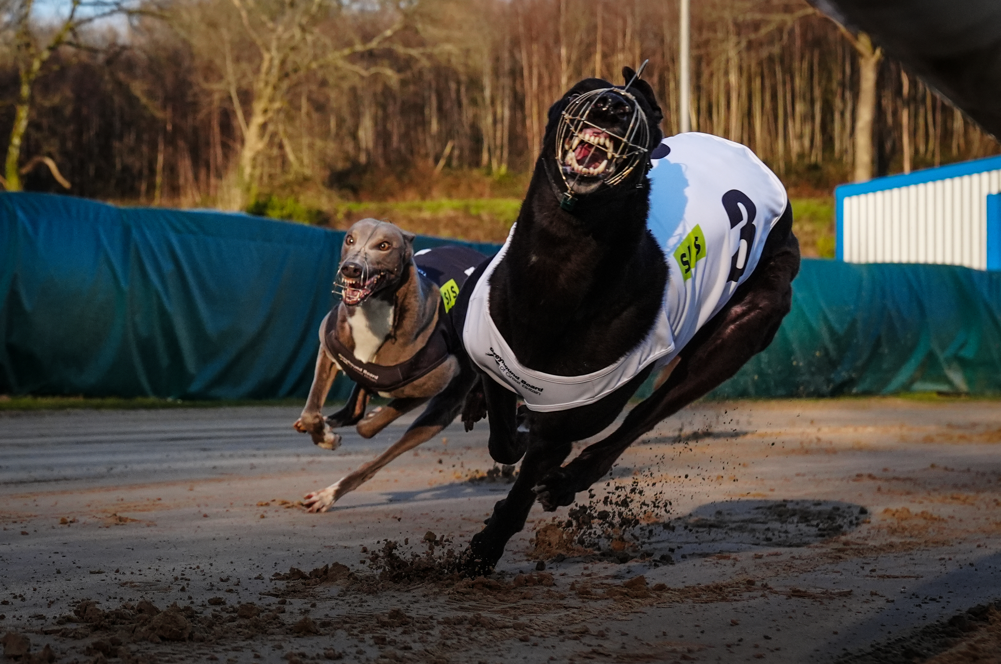 2025-12-31122930-09970819-185a-455c-82eb-31f8034799ba