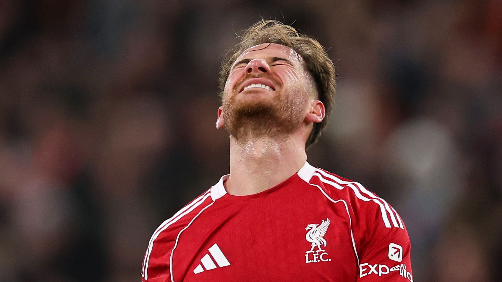 images-v3-getty-2255969267-crop-MM5DCNRRGI5DSMBWHJXG653FHIYDUMJZGQ======-GettyImages-2255969267