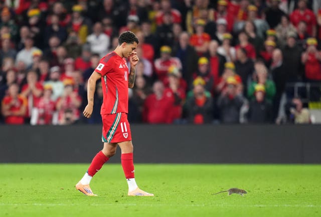 v2-image-production-0f1fe0226e51988b9ea3ea4aea1c751fY29udGVudHNlYXJjaGFwaSwxNzYwNDc1NzE0-2.81992098